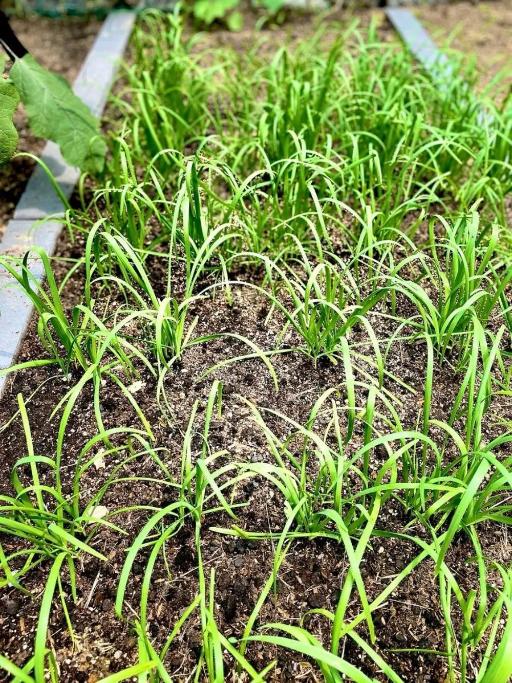 Gunsan Seongsanae Pension