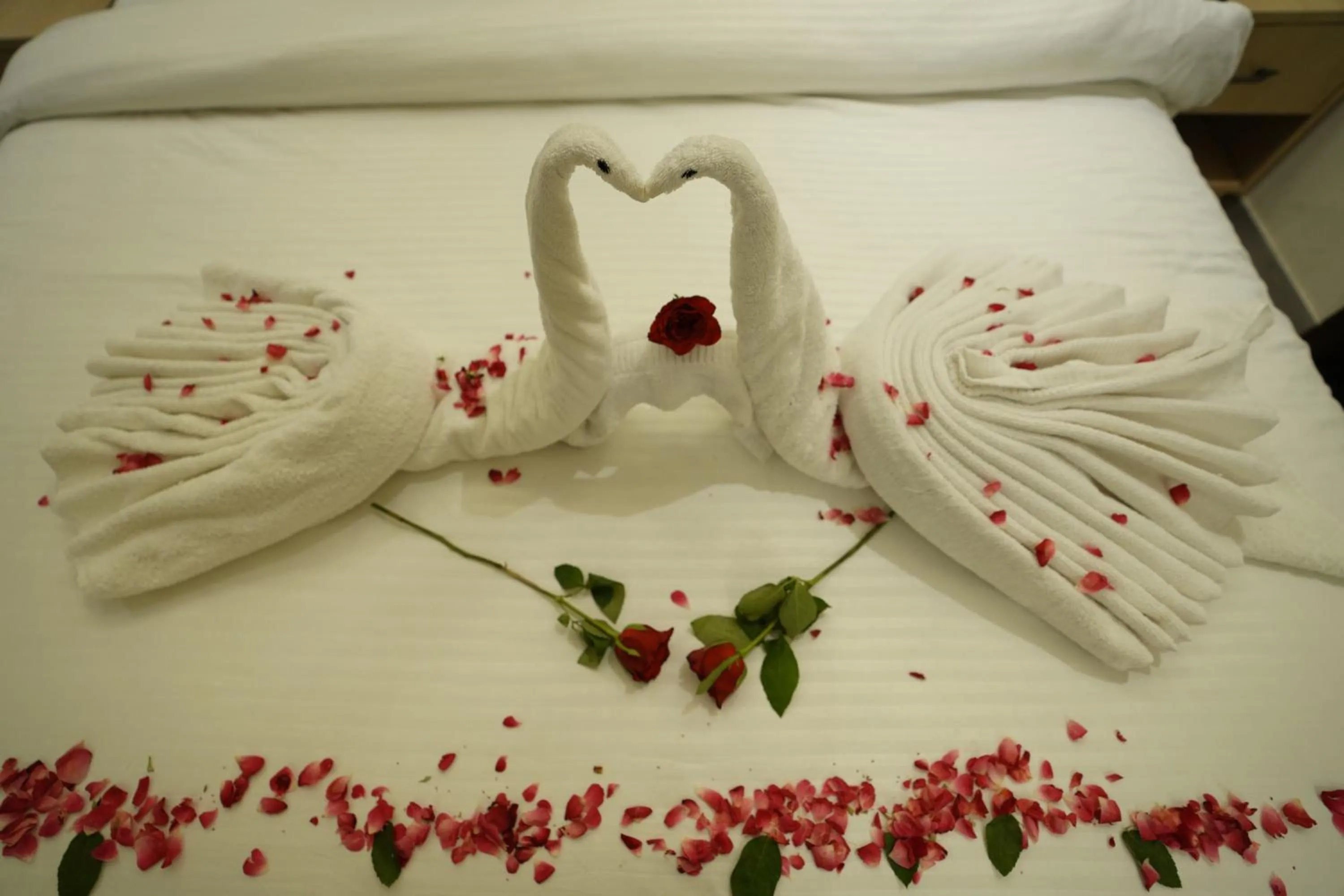 View (from property/room) in HOTEL CASA ROYALE