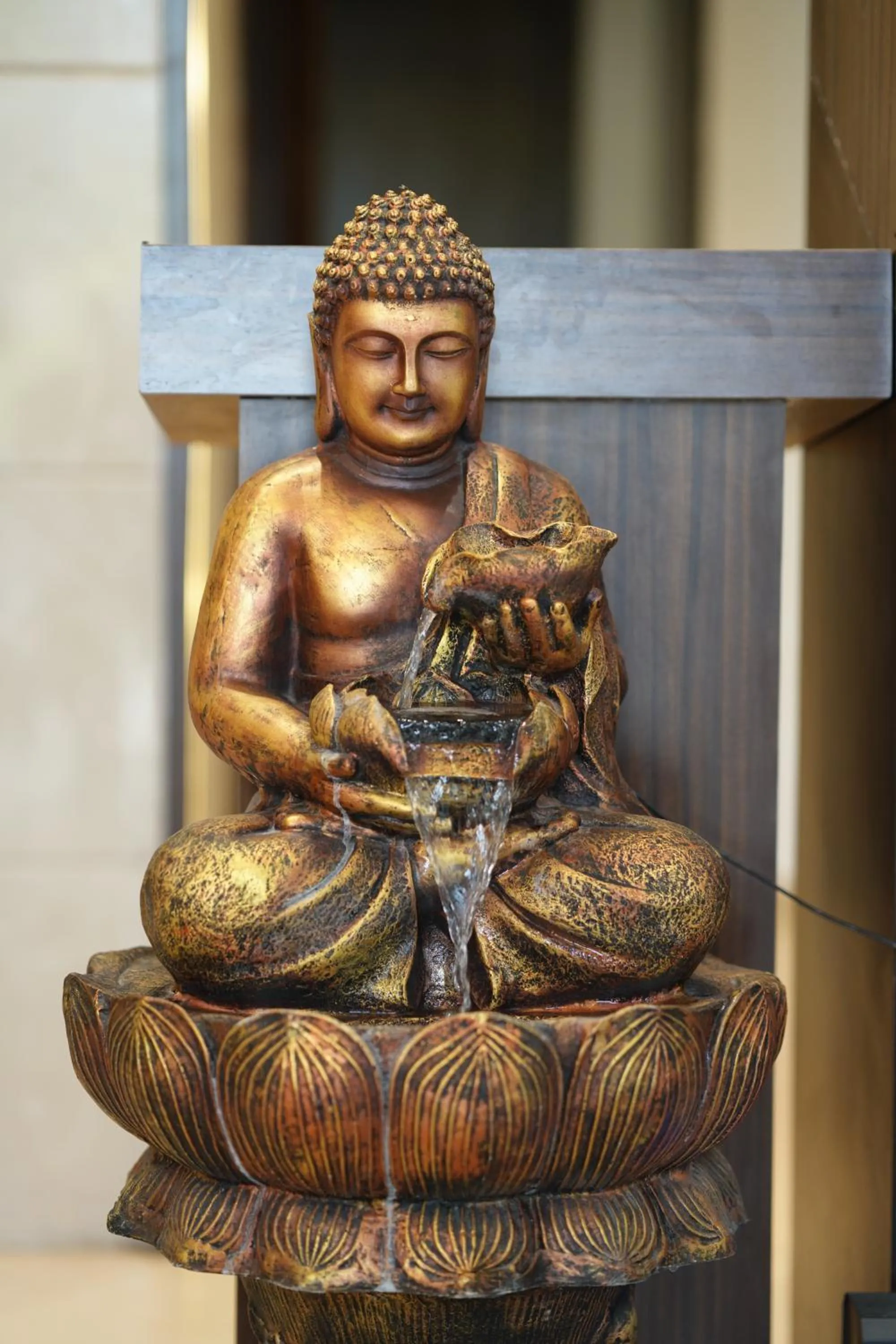 Property building in HOTEL CASA ROYALE