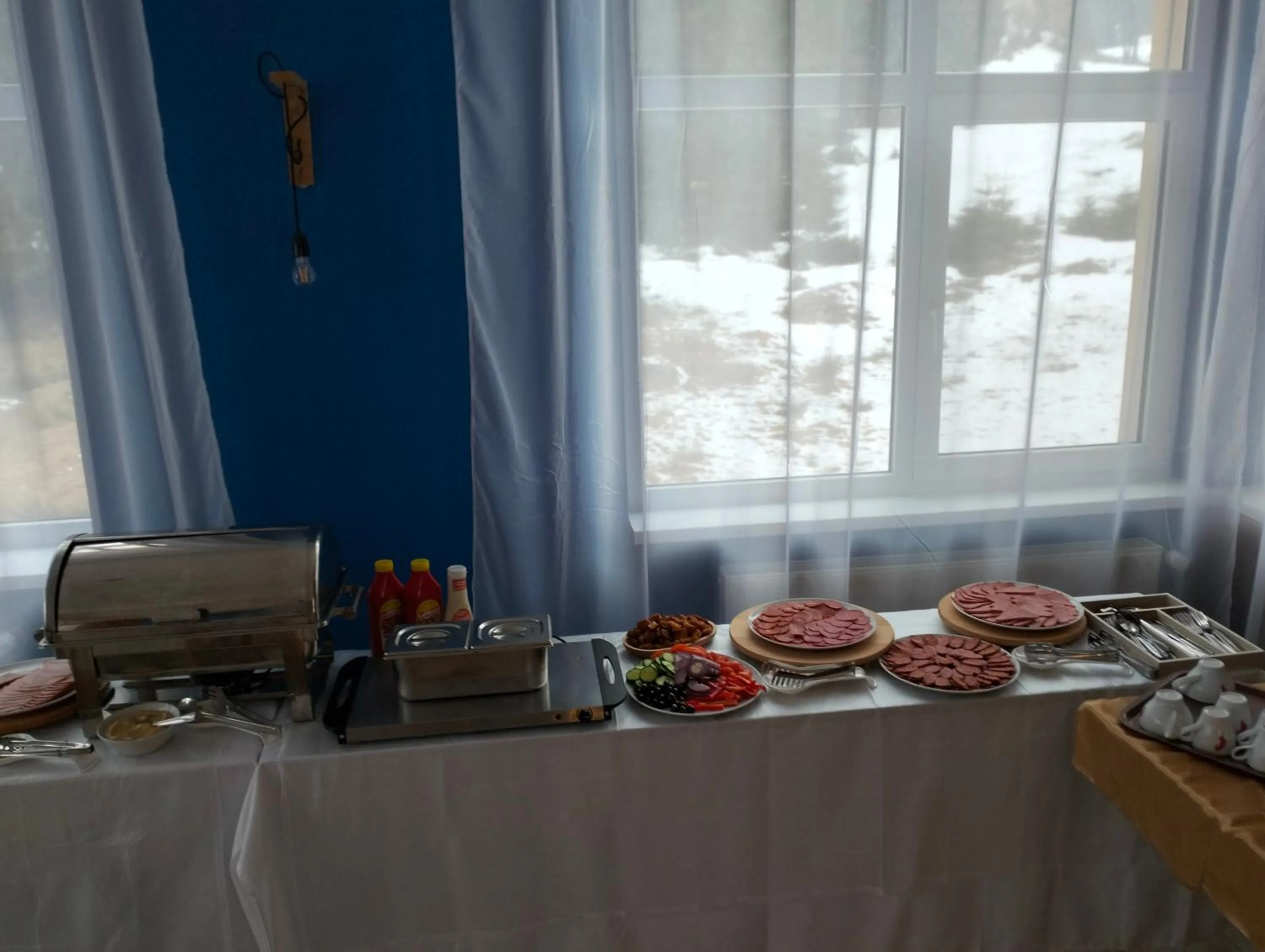 Pensiunea Cabana Art