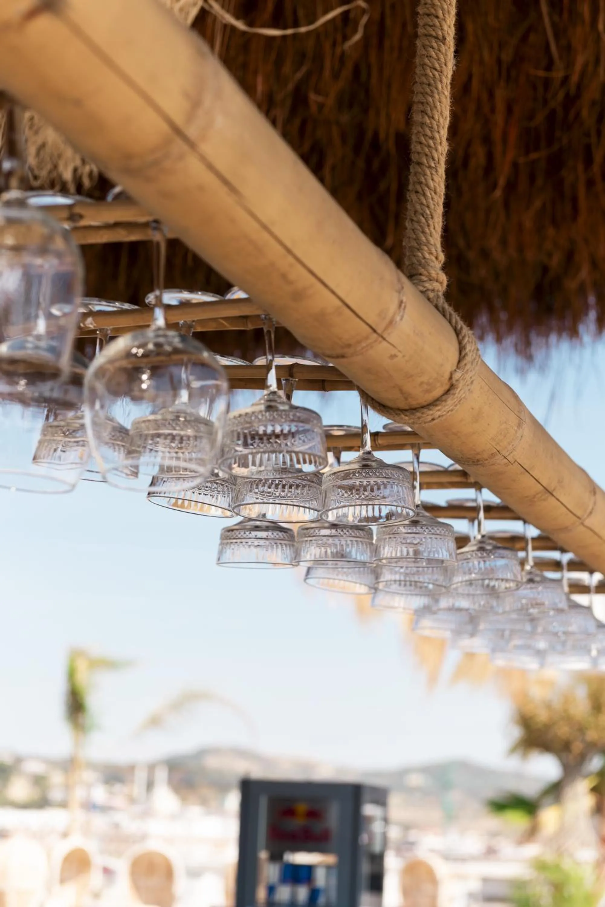 Lounge or bar in Hotel Amelia Mare