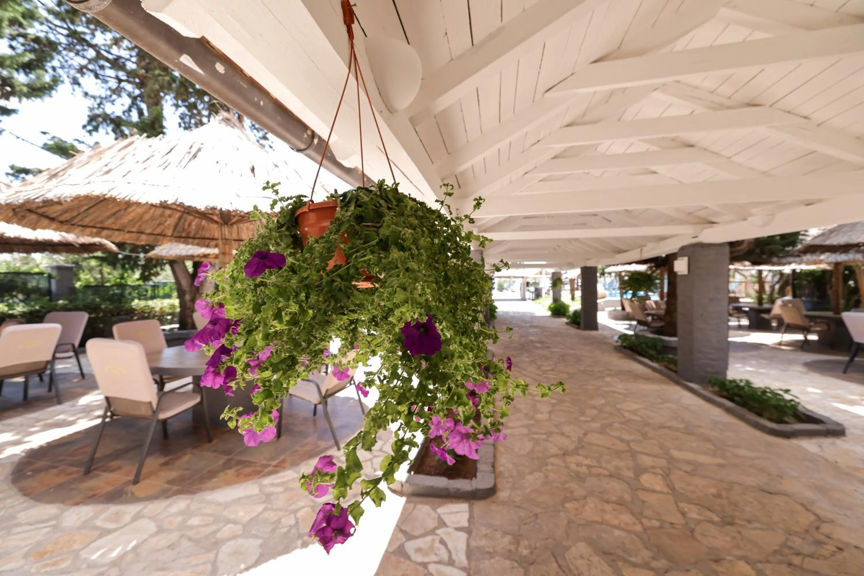 Tribunia Beach Hotel
