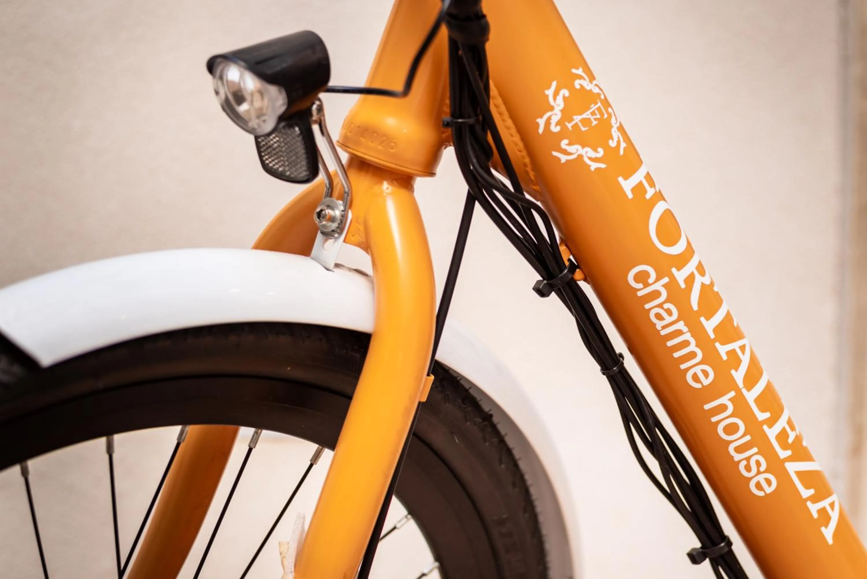 Decorative detail in Fortaleza Charme House