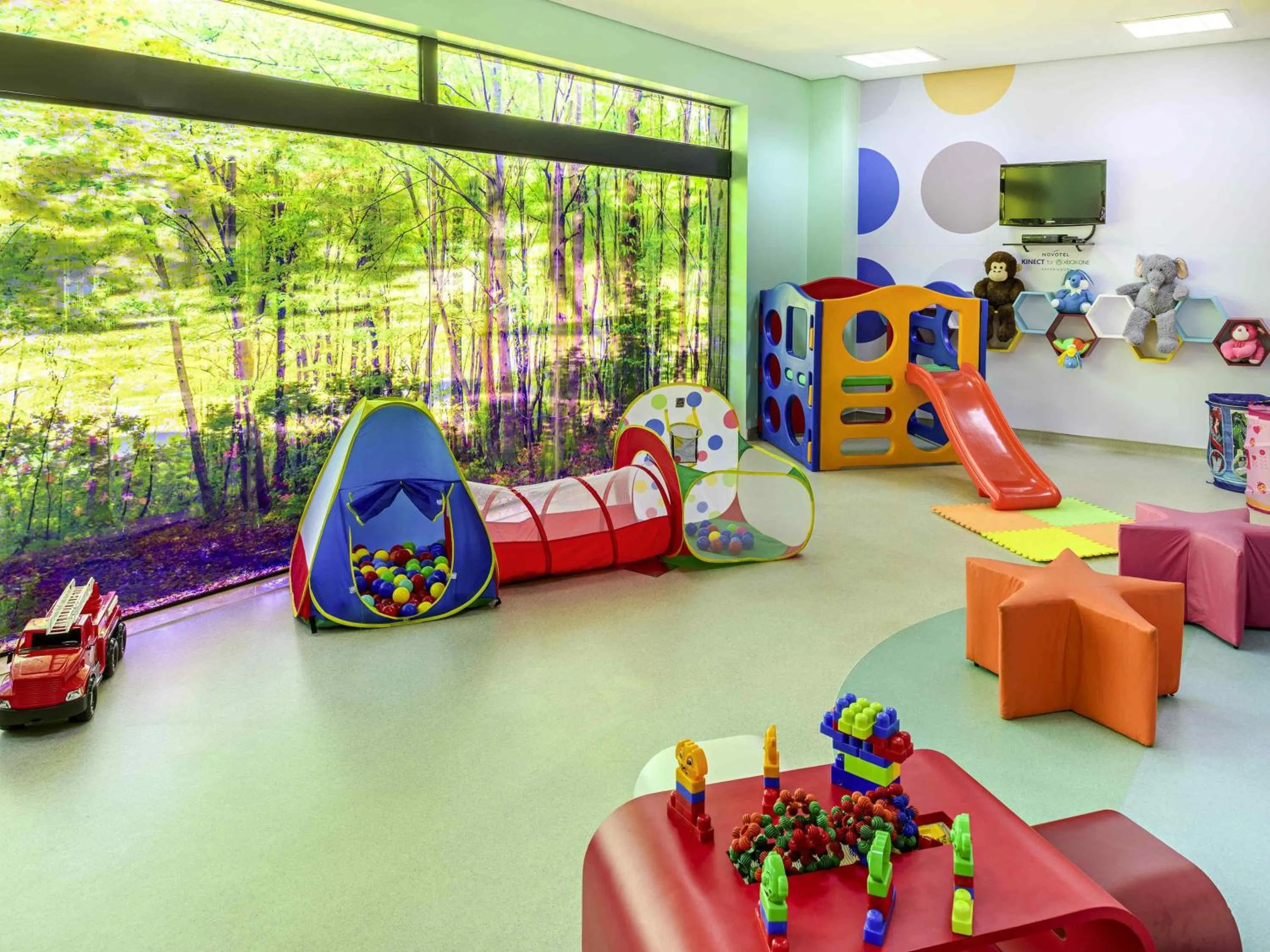 Other in Novotel Sao Paulo Center Norte