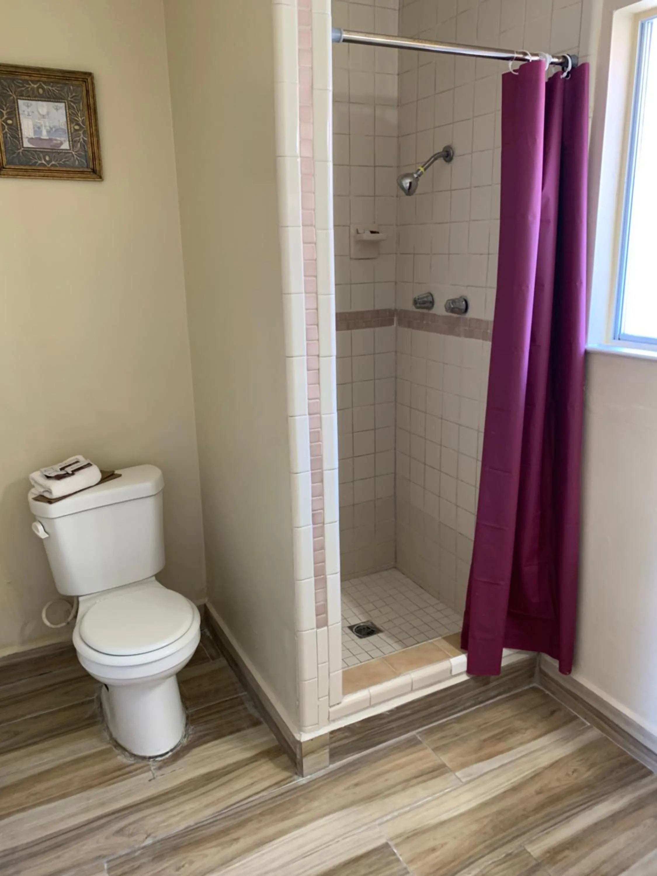 Shower in Jerry's Motel