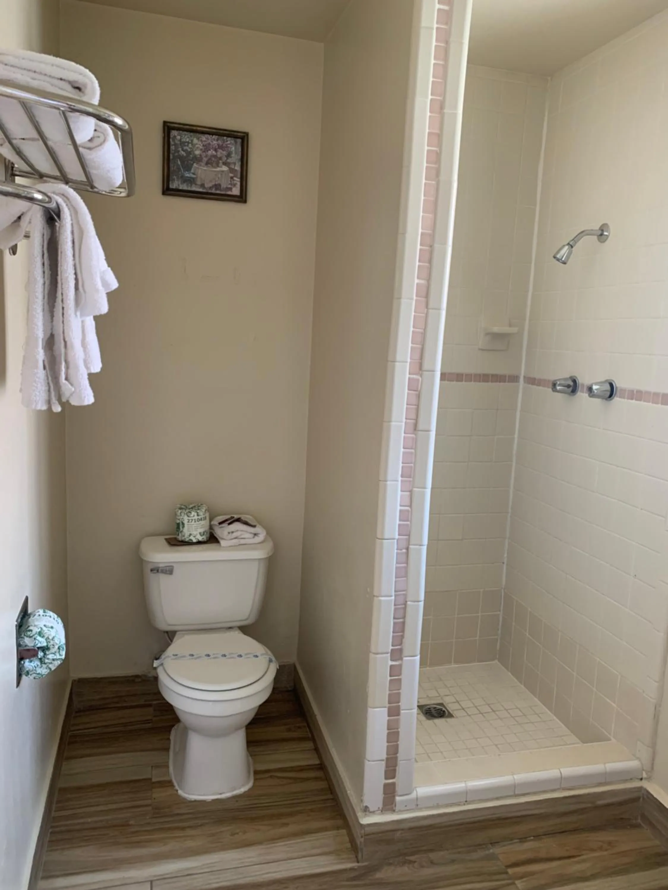 Shower in Jerry's Motel