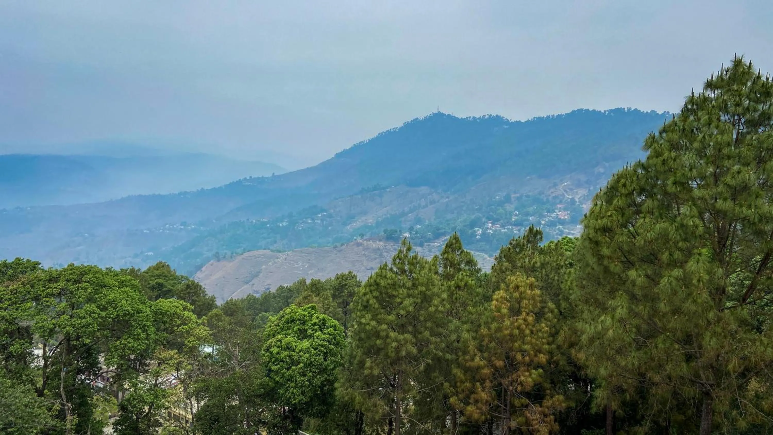 View (from property/room) in The Magnolia Lodge