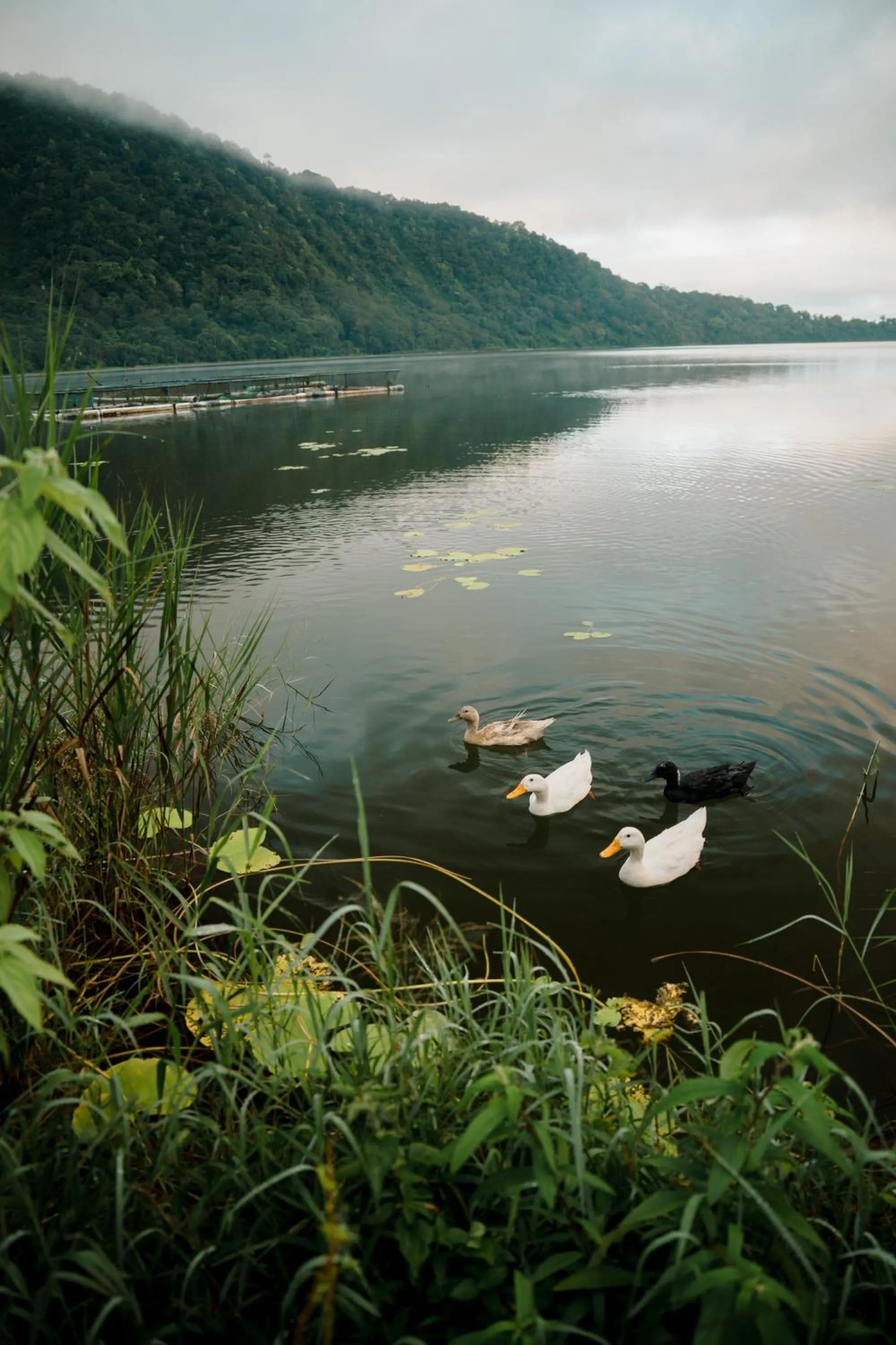 Lake view in The Dewi Bedugul