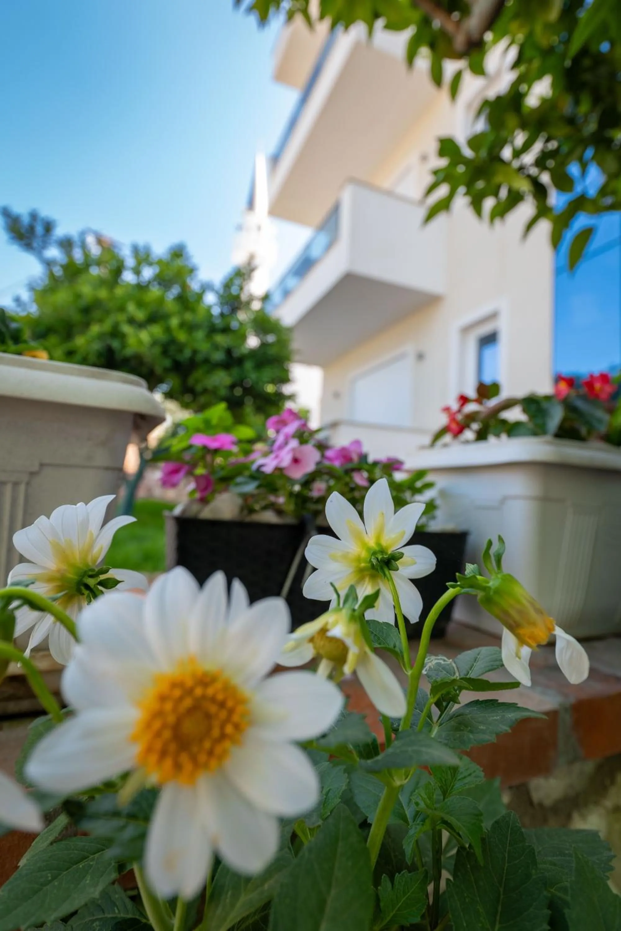 Property building in Golden Hotel