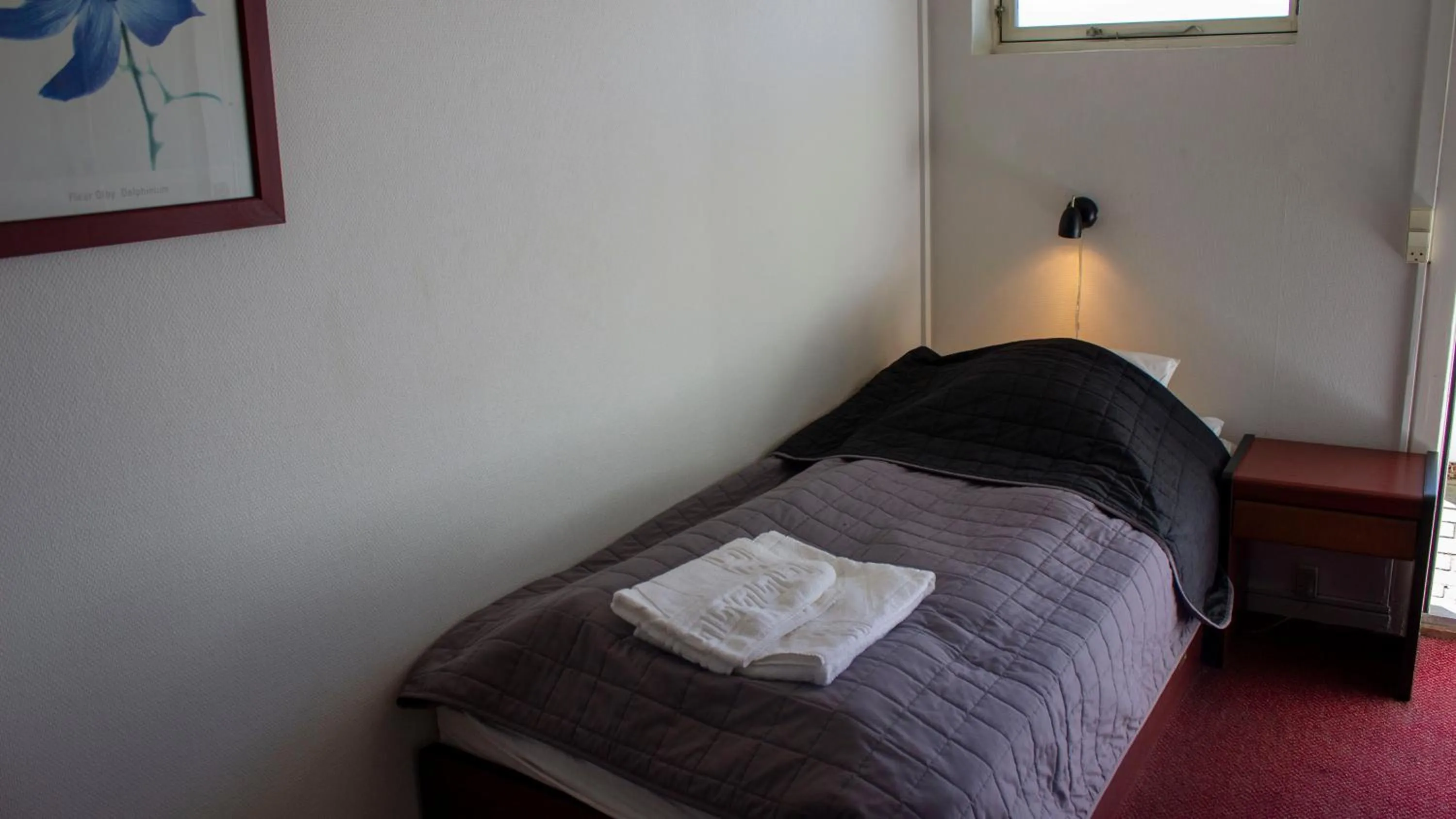 Single Room in A Hotels Roskilde