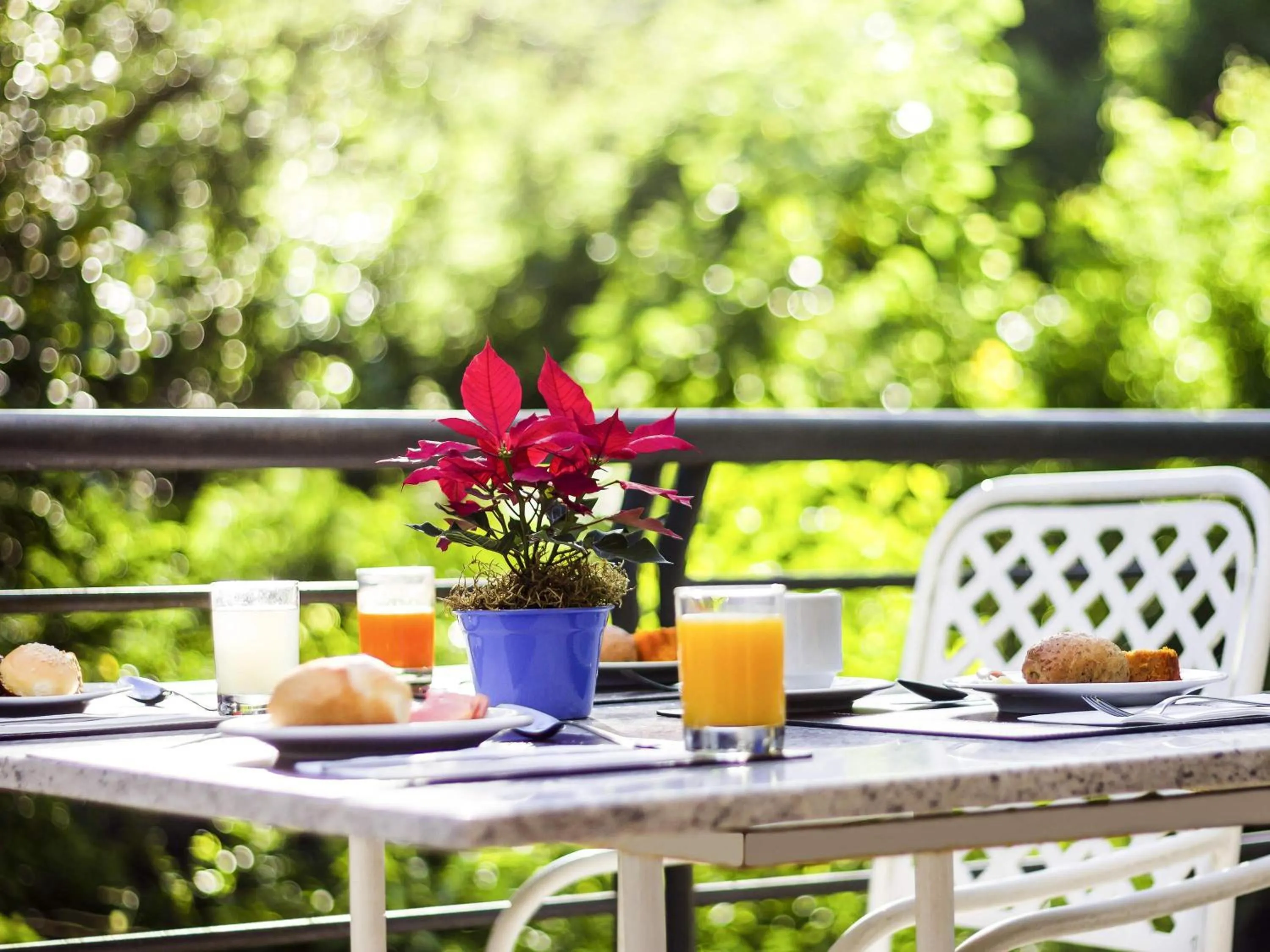 Breakfast in Novotel Porto Alegre Tres Figueiras