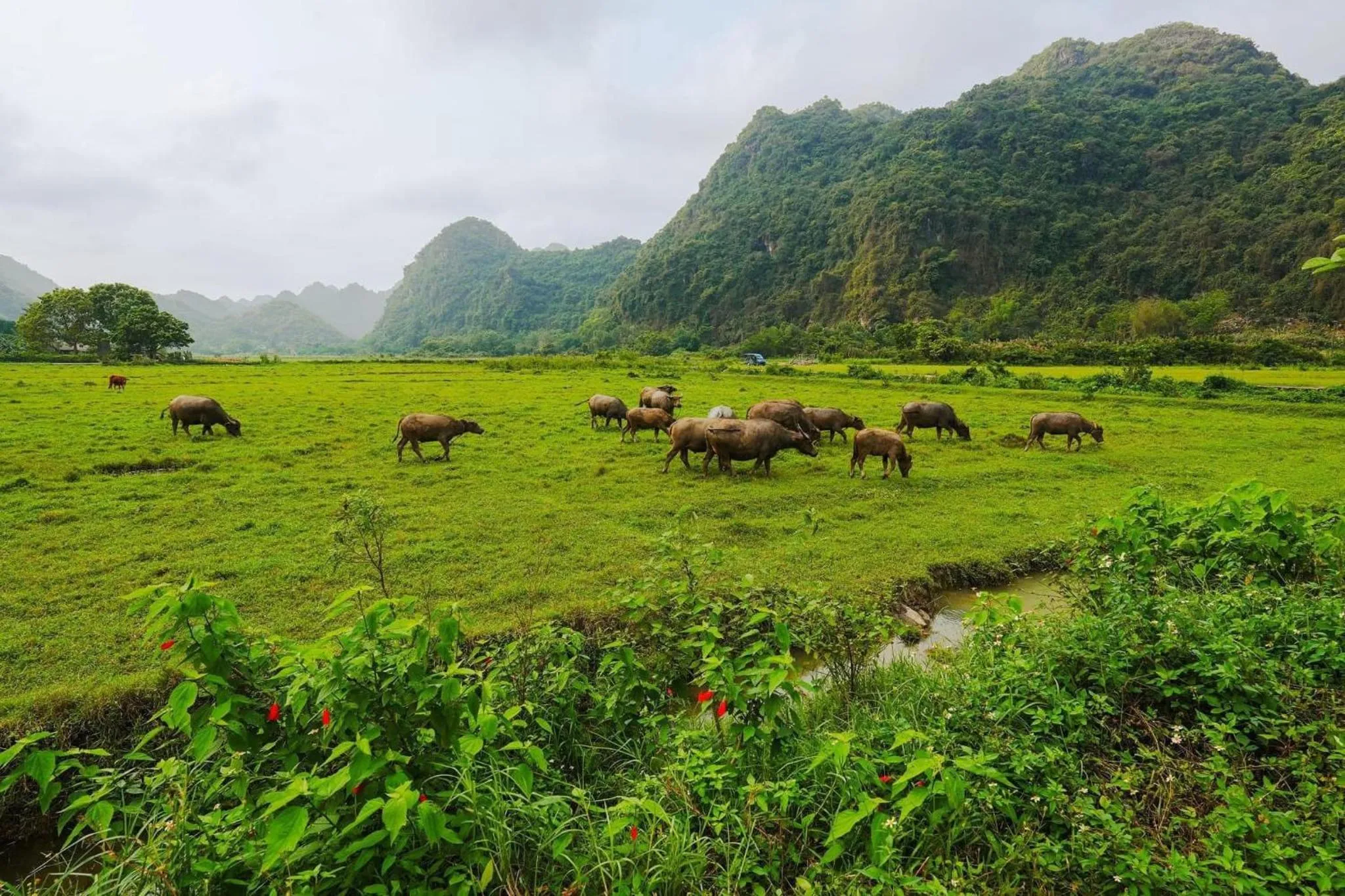 Natural landscape in Maison Cat Ba Bay View Villa