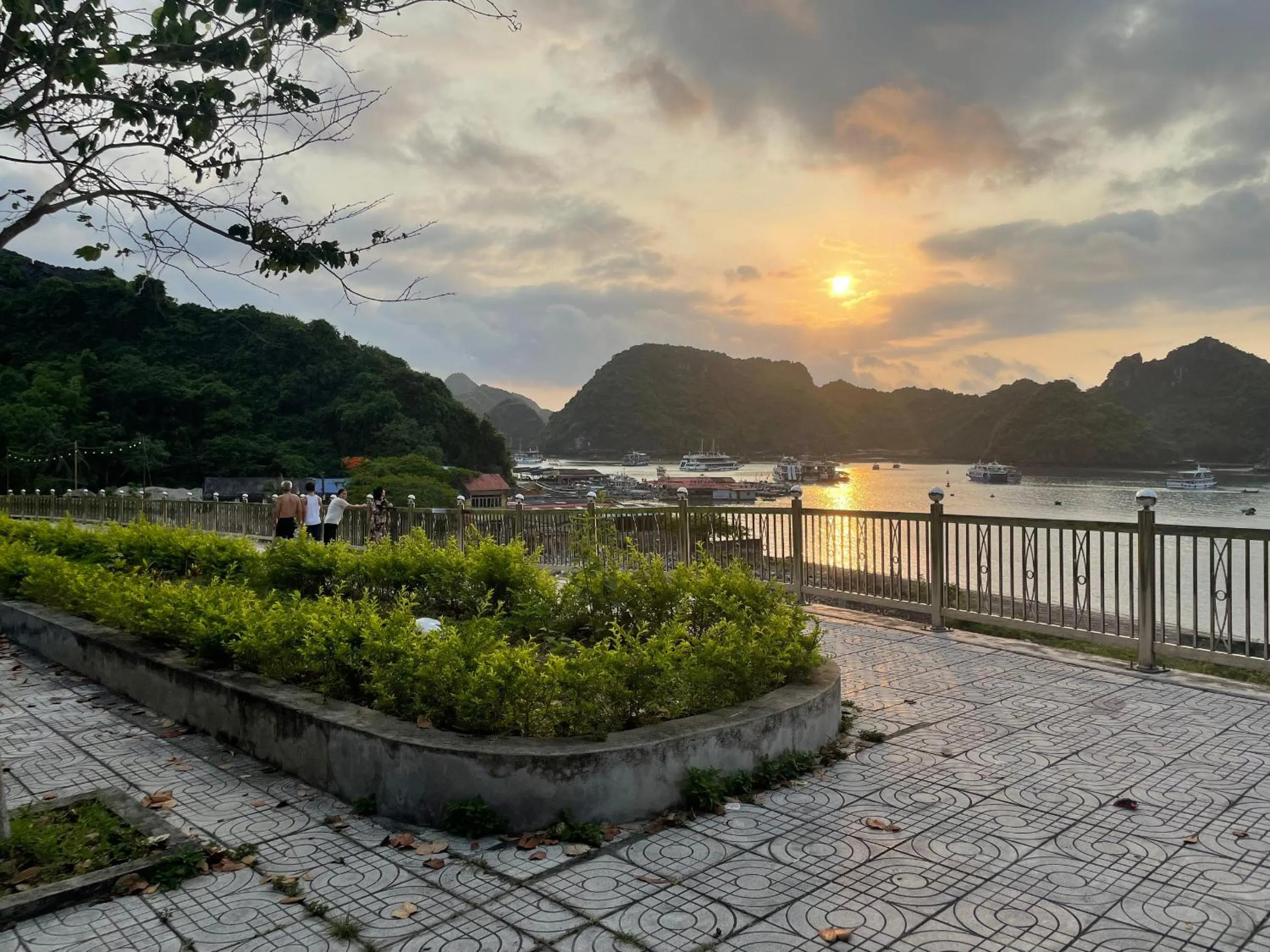 Natural landscape in Maison Cat Ba Bay View Villa