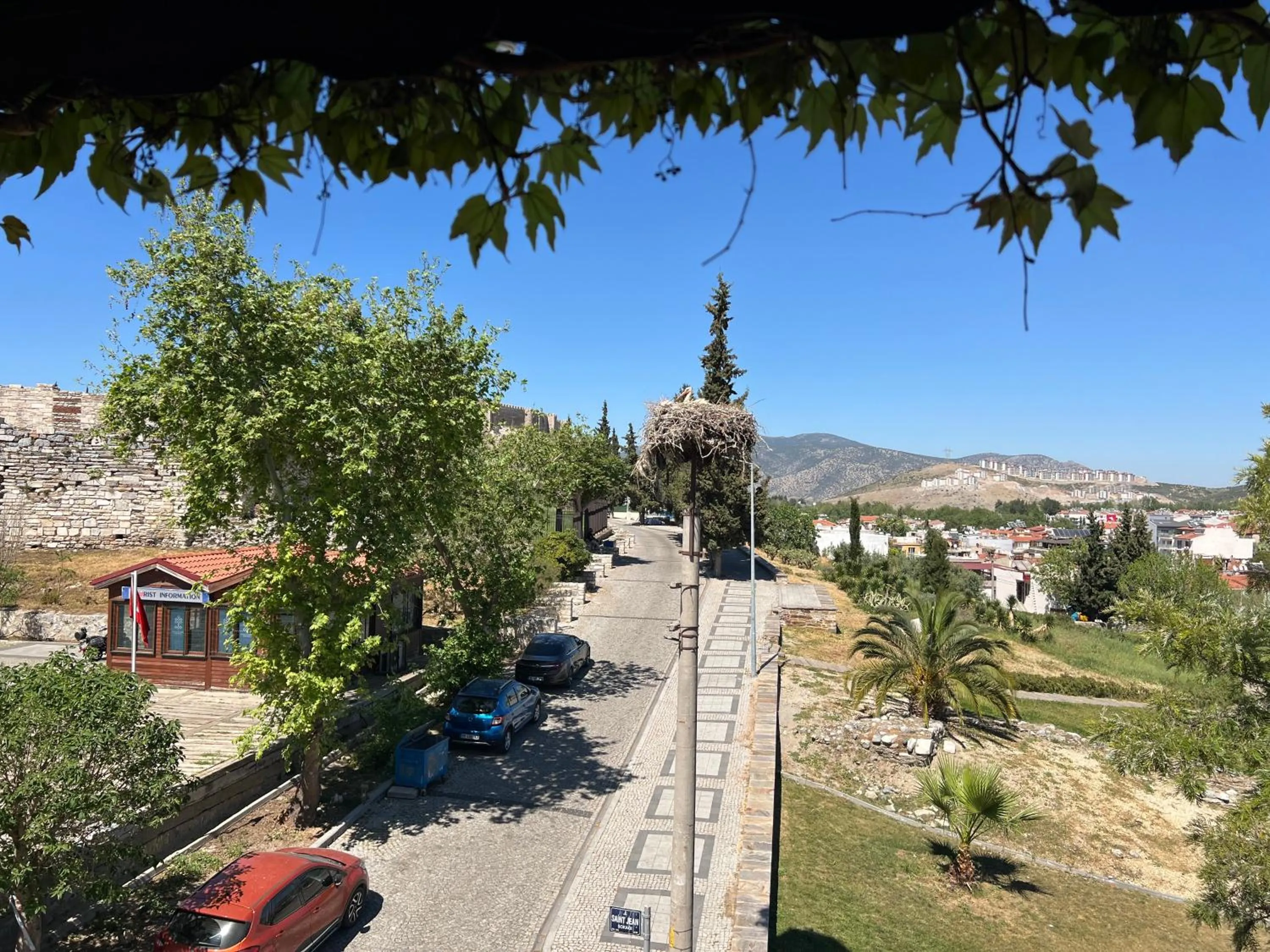 Natural landscape in Hotel Bella