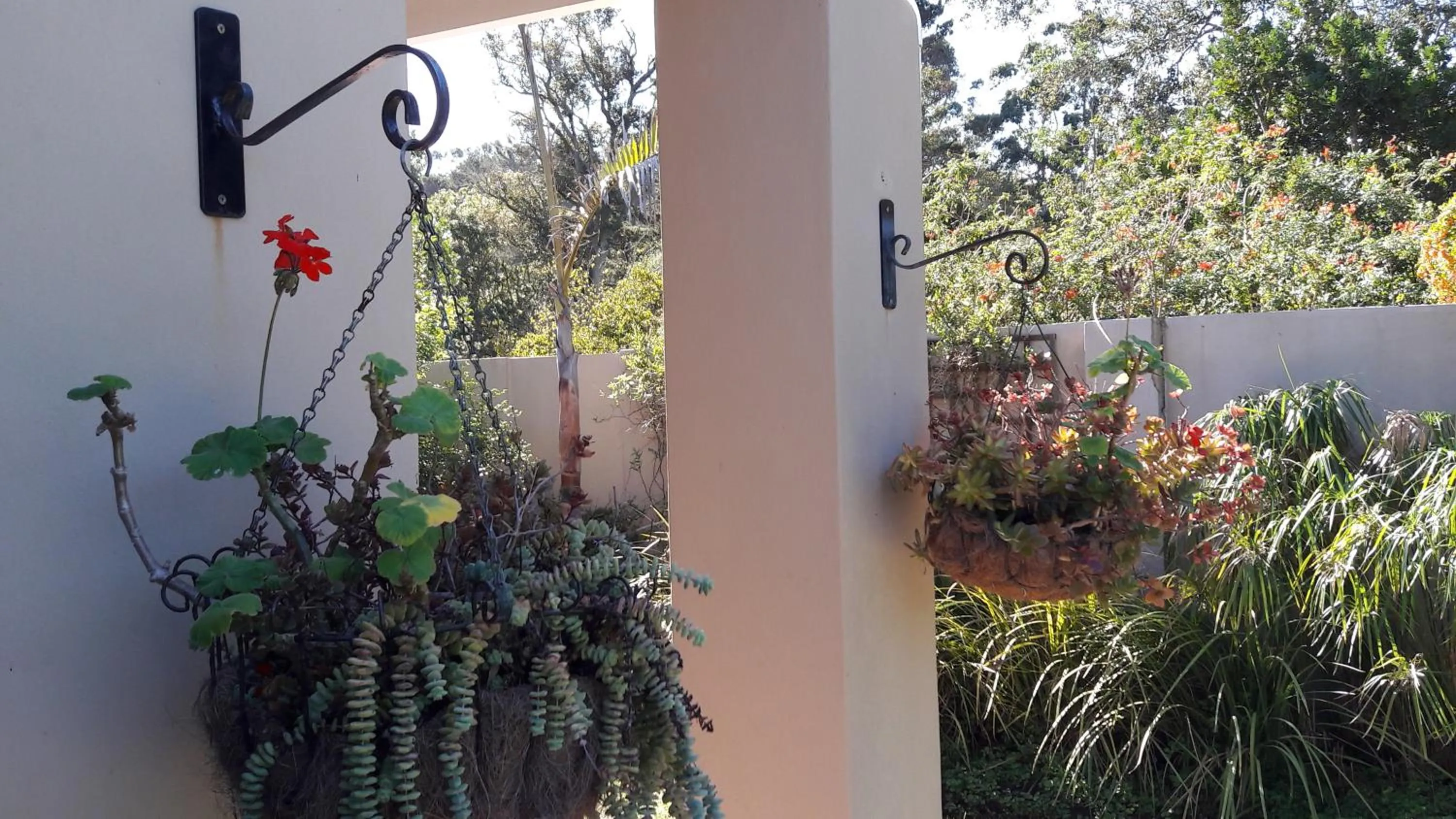 Autumn in Little Louisa