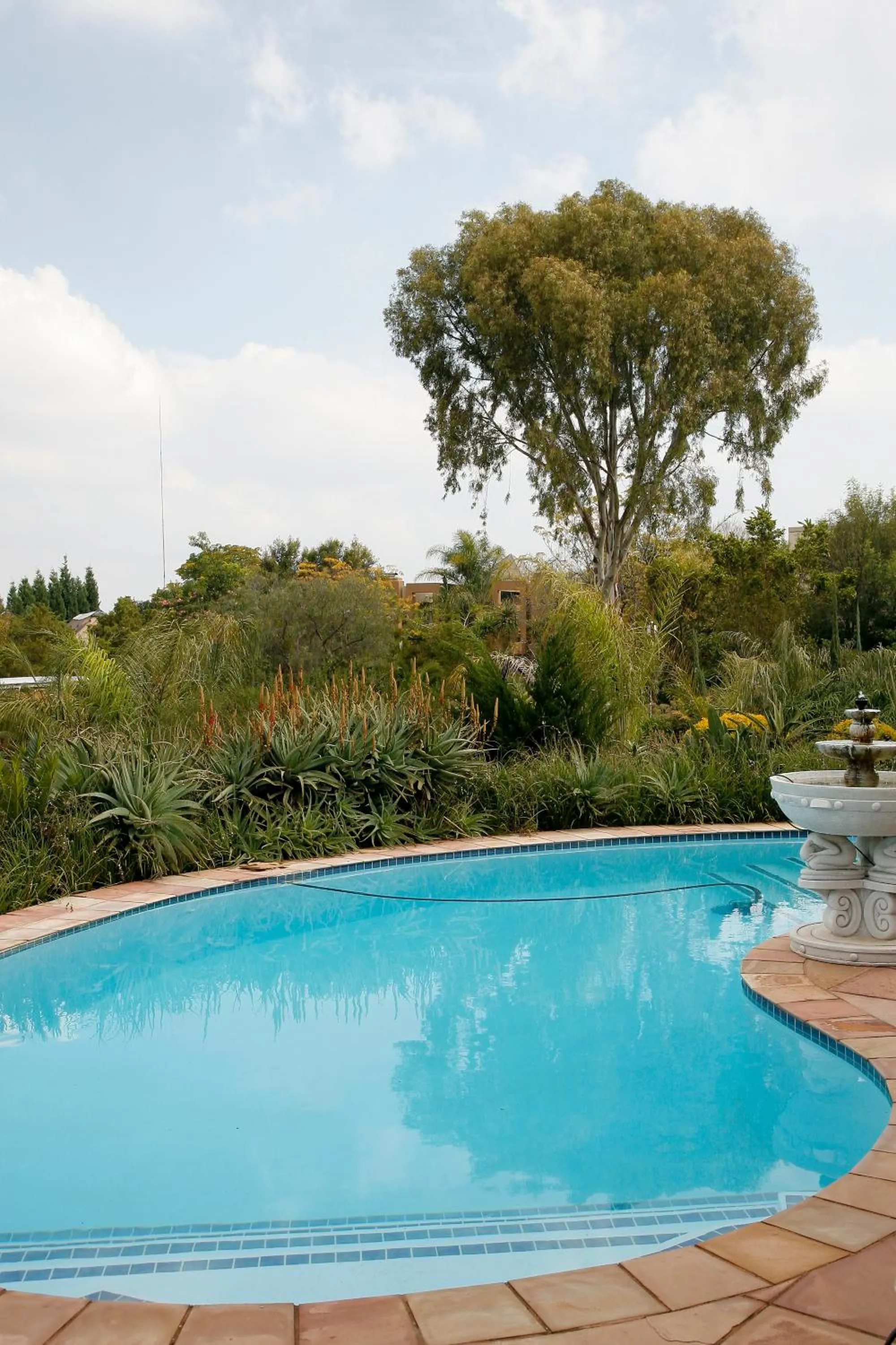 Swimming pool in Tuareg Guest House