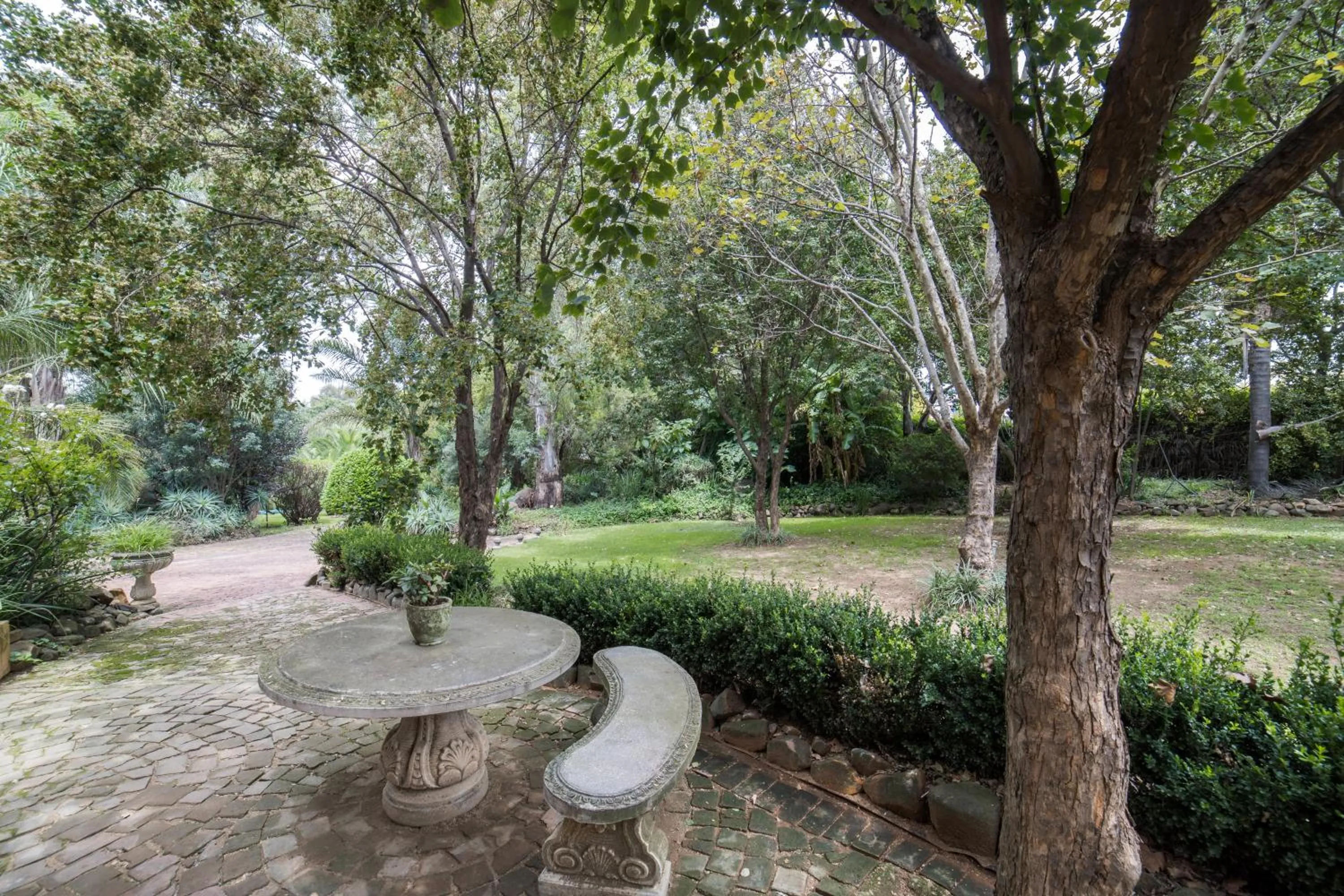 Garden in Tuareg Guest House