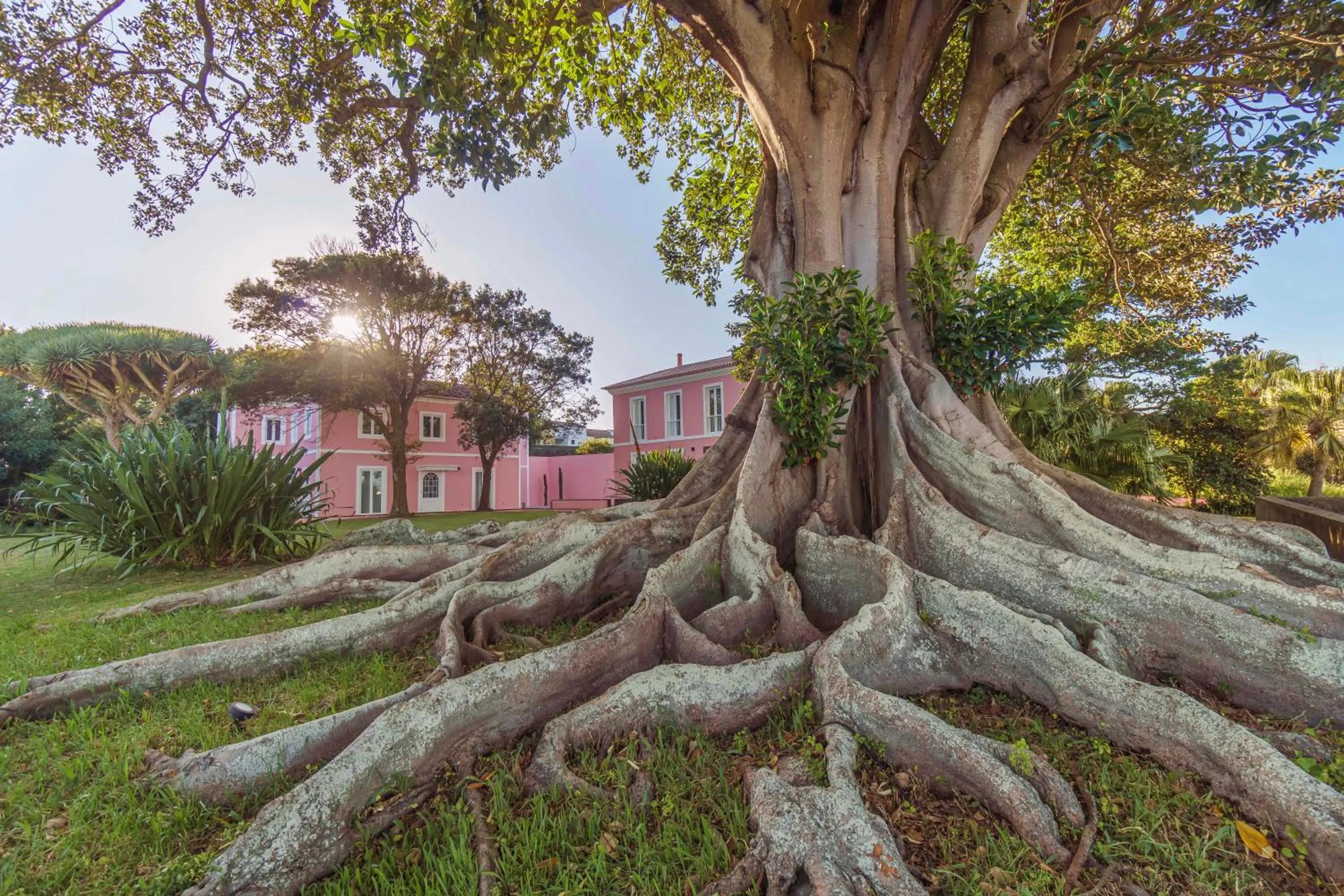 Property building in Solar dos Cantos Botanic House & Garden