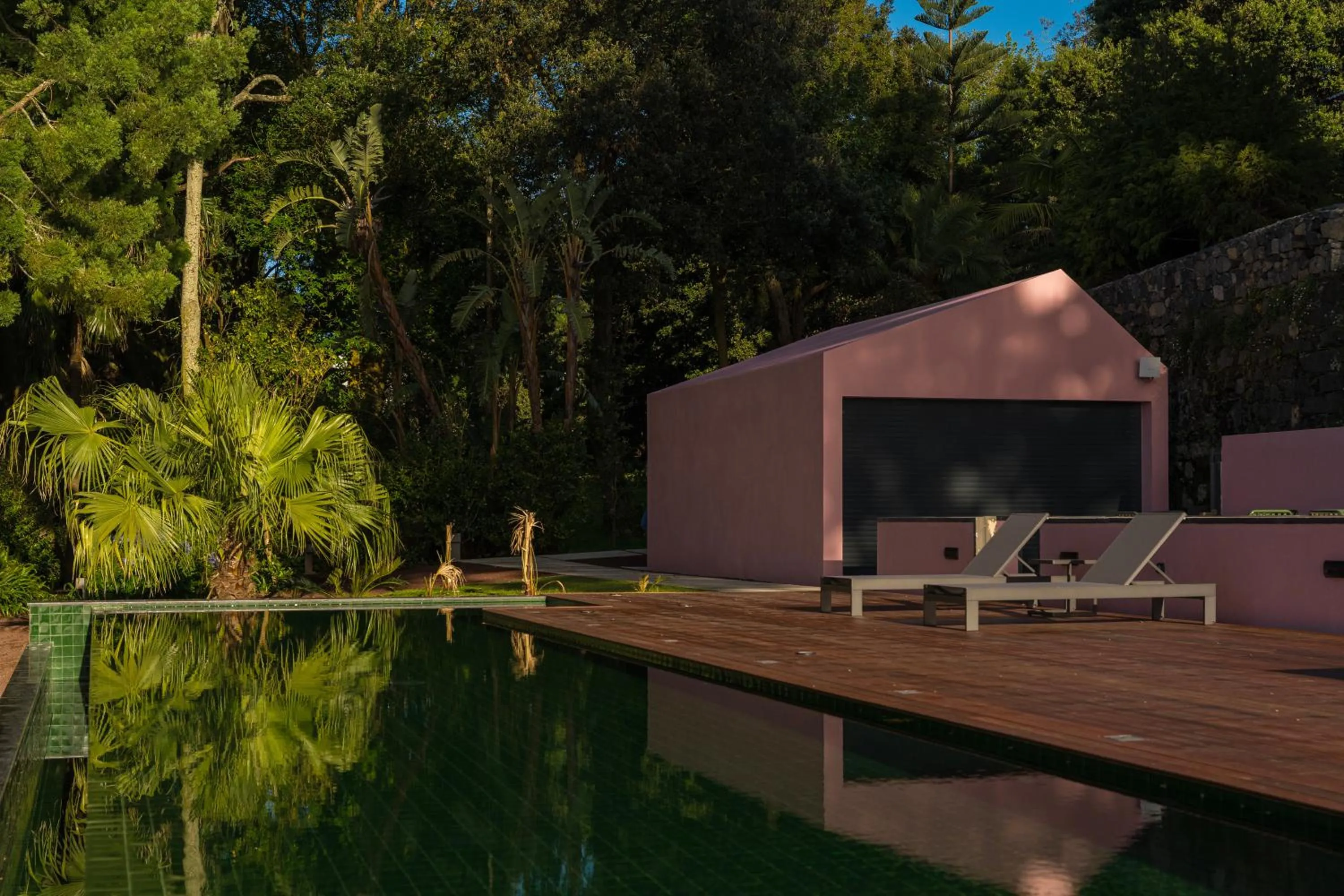 Garden view in Solar dos Cantos Botanic House & Garden