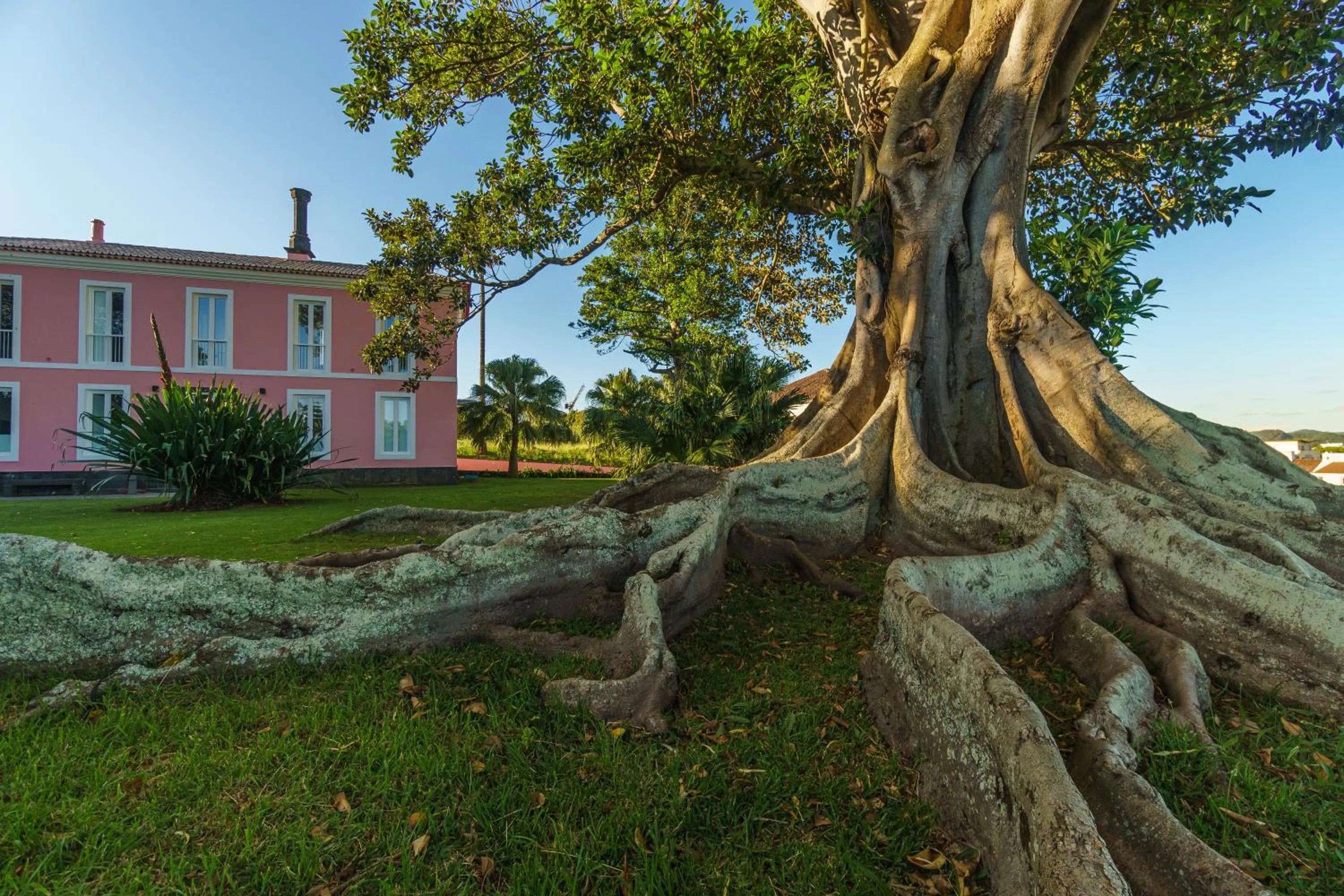 Garden in Solar dos Cantos Botanic House & Garden