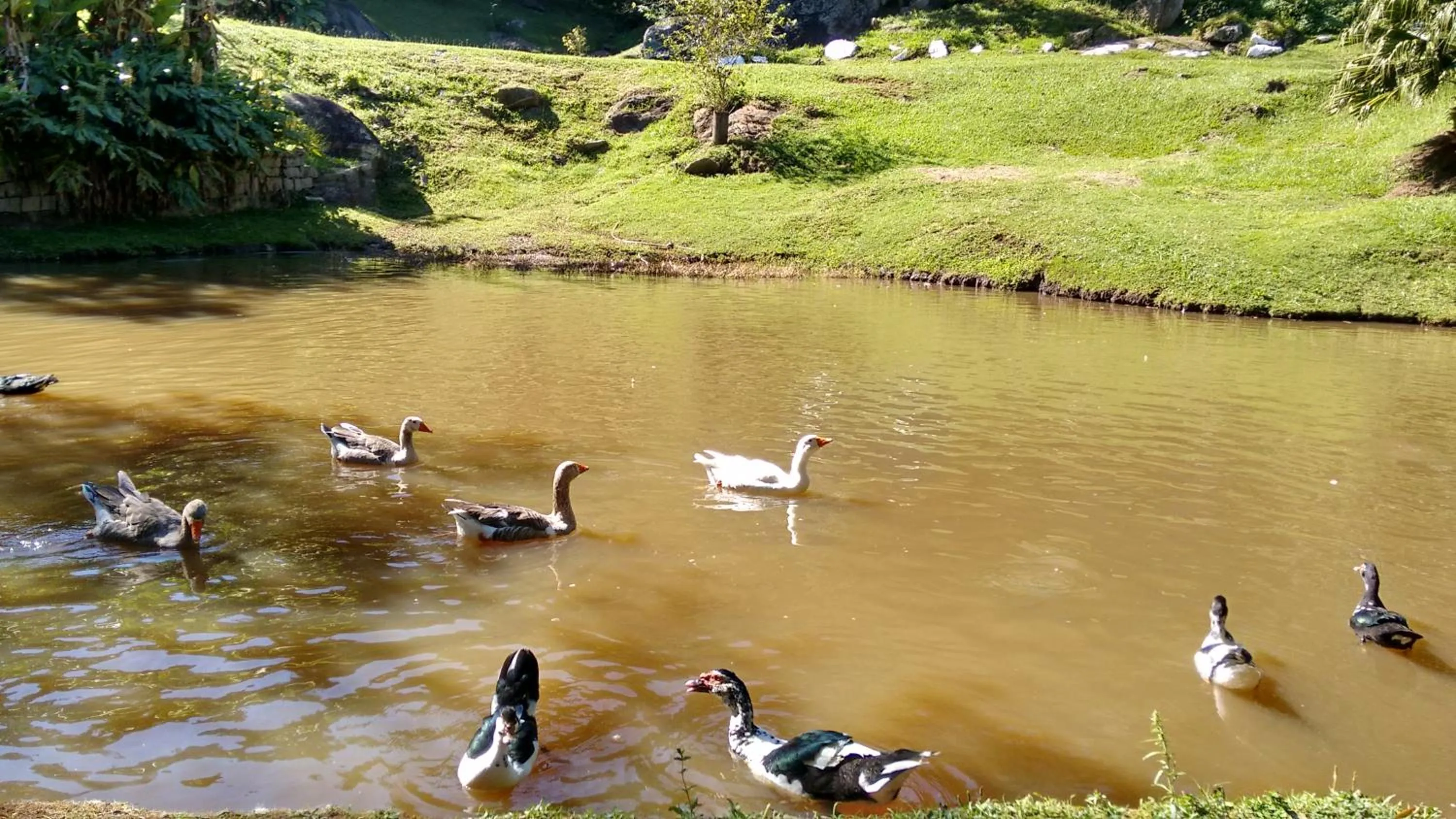 Spring in Pousada Céu de Luz - Próximo a Monte Verde
