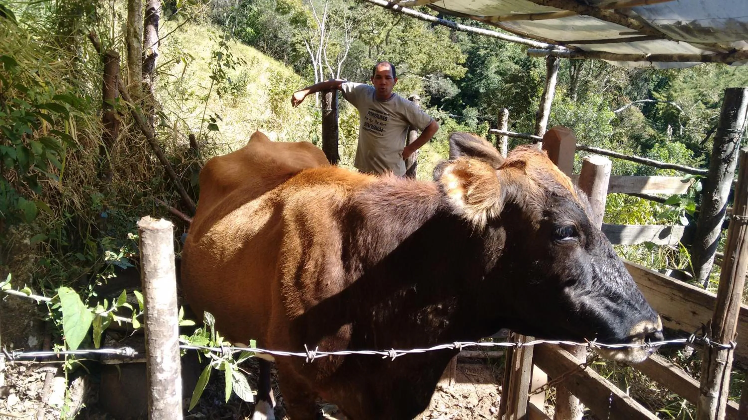 Pets in Pousada Céu de Luz - Próximo a Monte Verde