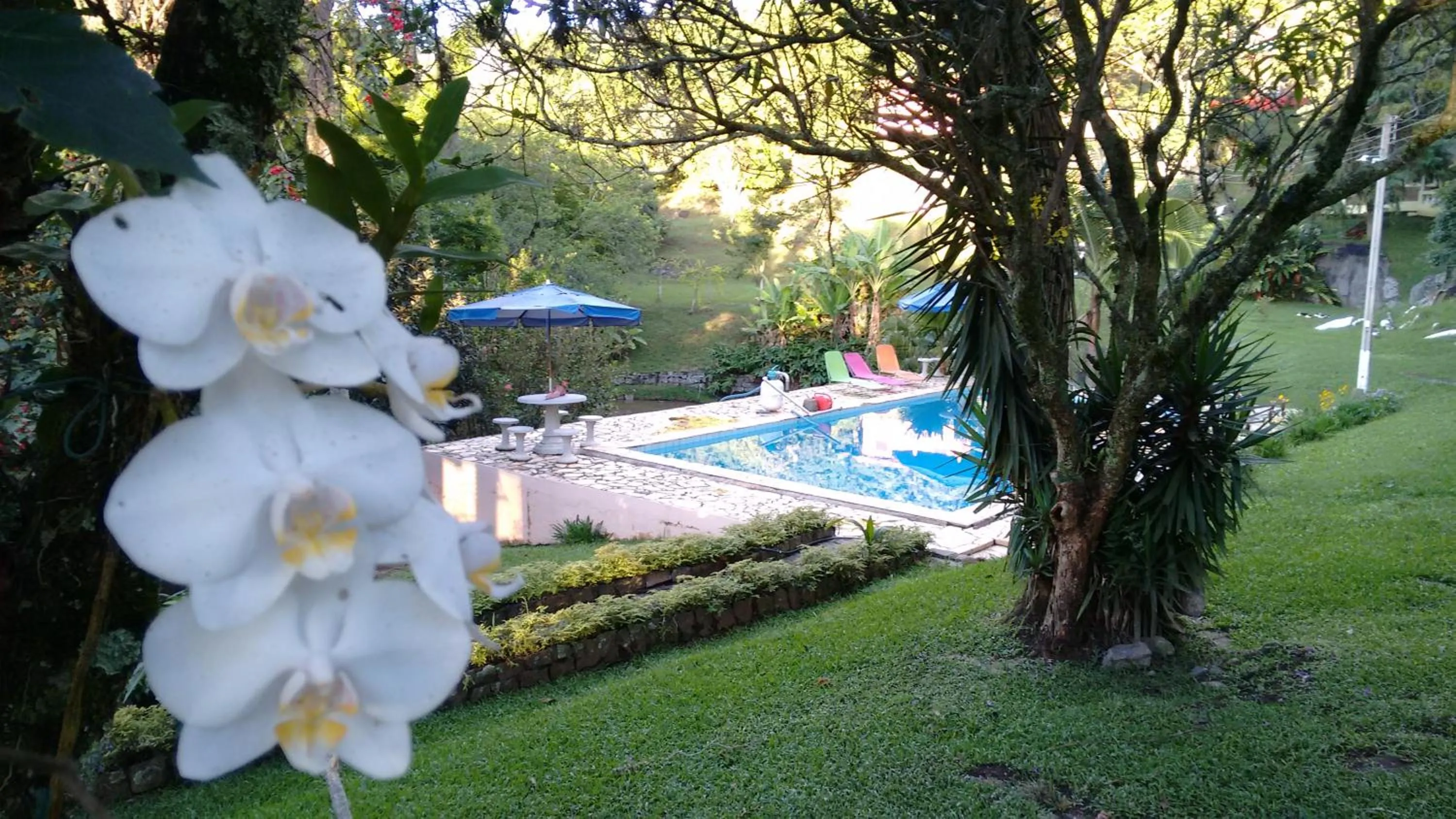 Natural landscape in Pousada Céu de Luz - Próximo a Monte Verde