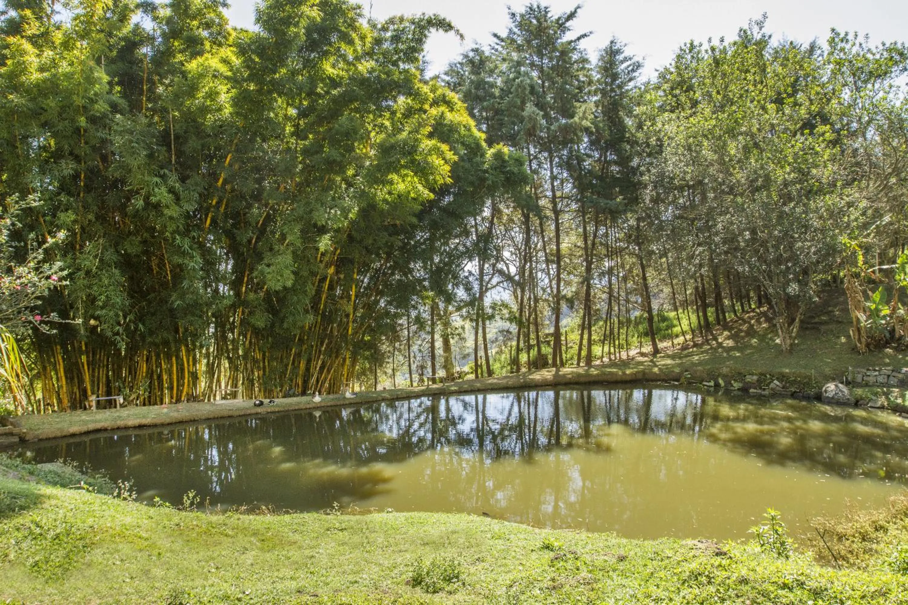 Lake view in Pousada Céu de Luz - Próximo a Monte Verde