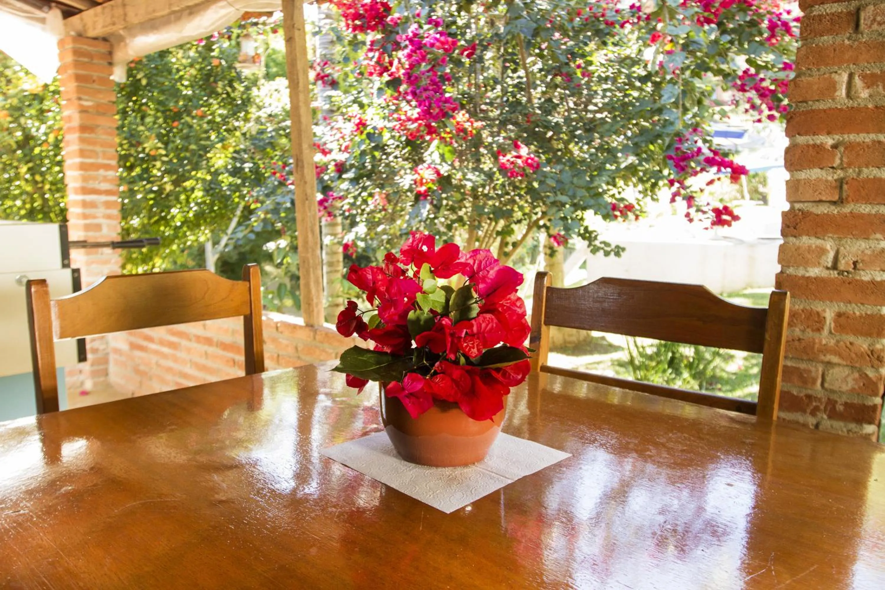 Spring in Pousada Céu de Luz - Próximo a Monte Verde