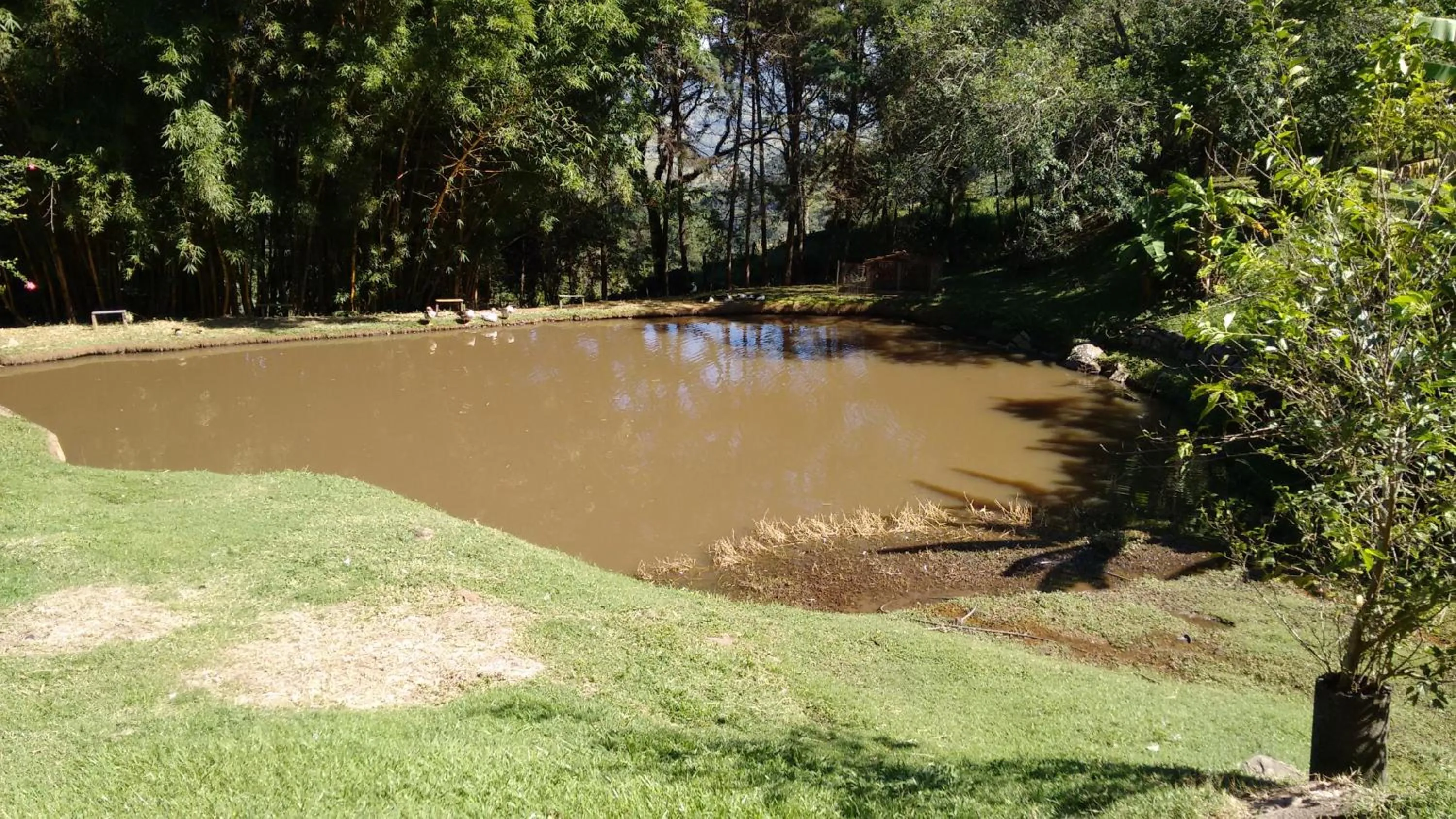 Garden view in Pousada Céu de Luz - Próximo a Monte Verde