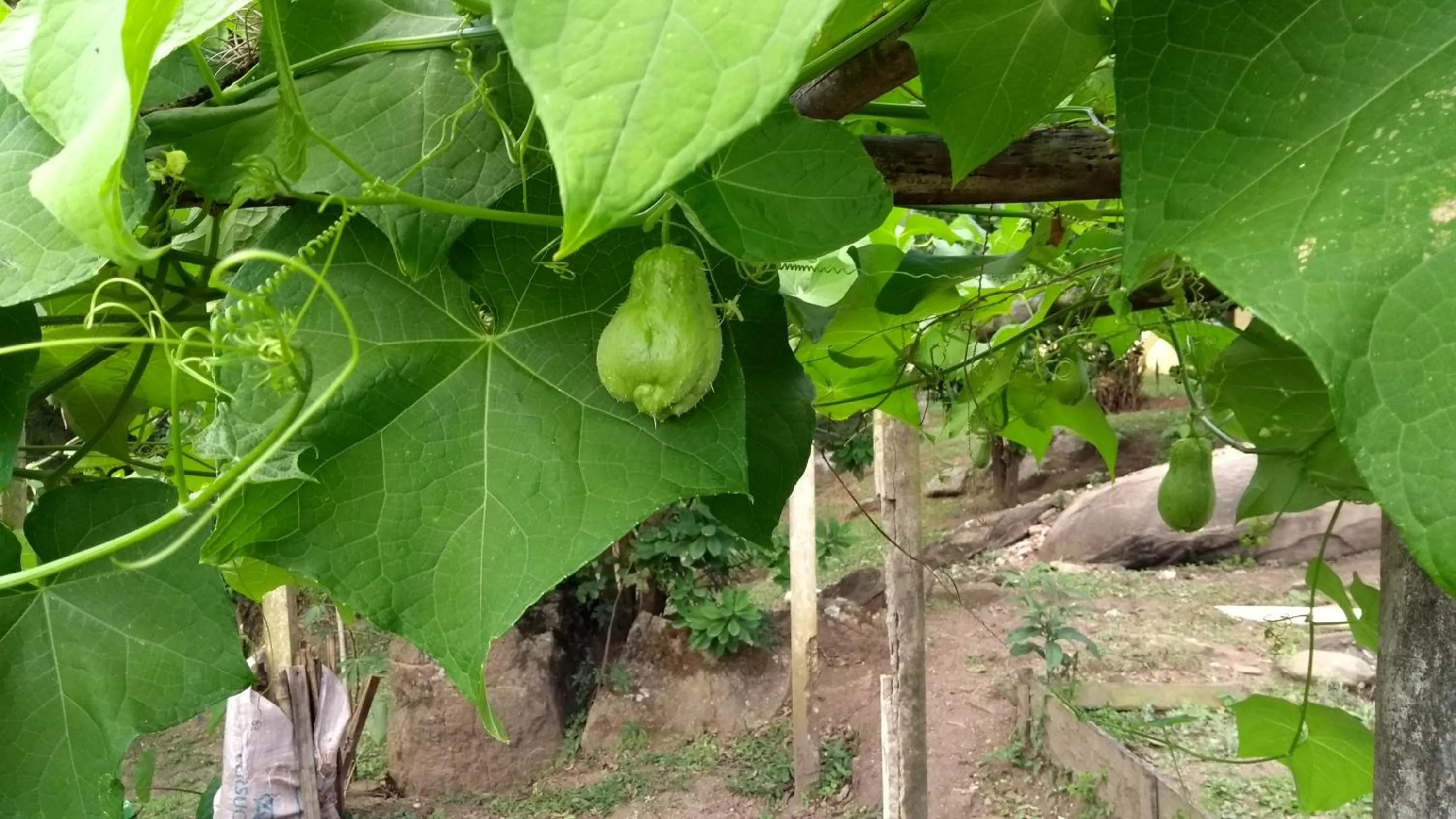 Game Room in Pousada Céu de Luz - Próximo a Monte Verde