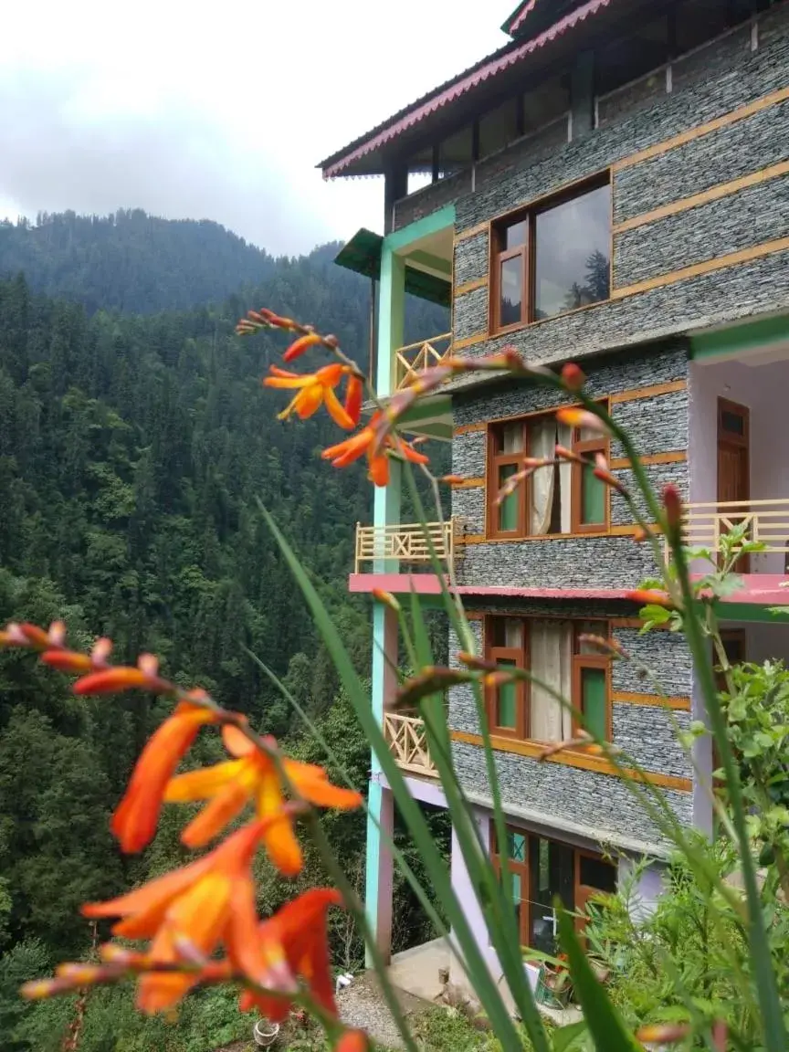 The Forest Pinnacle and Café, Jibhi The Forest Pinnacle and Café, Jibhi