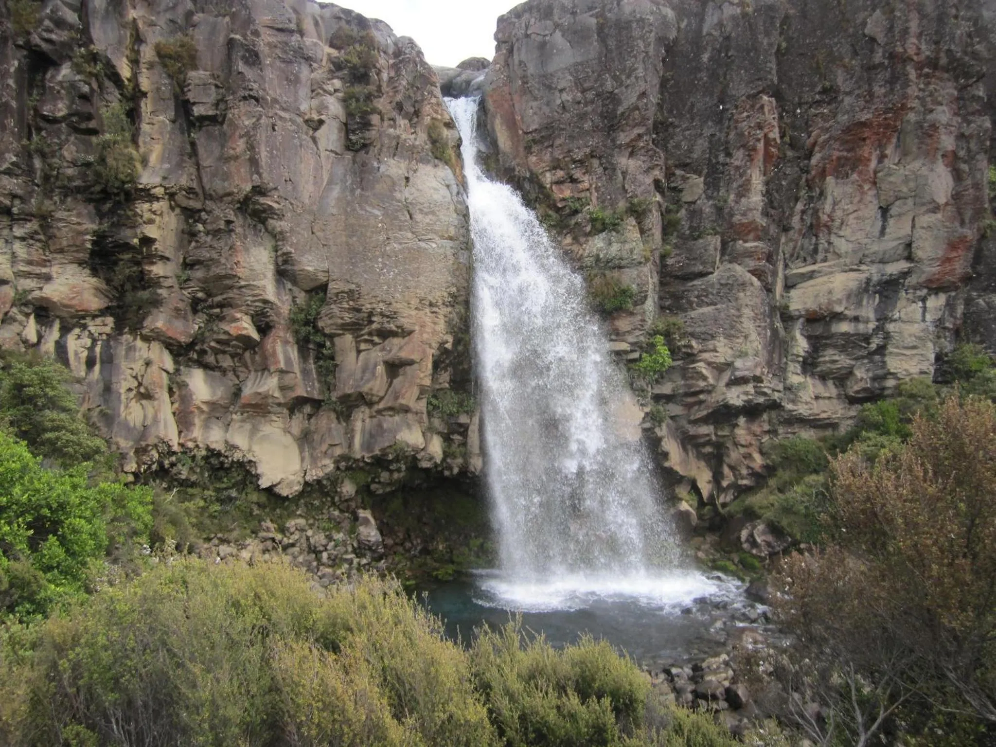 Other in Magpie Cottage Homestay Bed & Breakfast