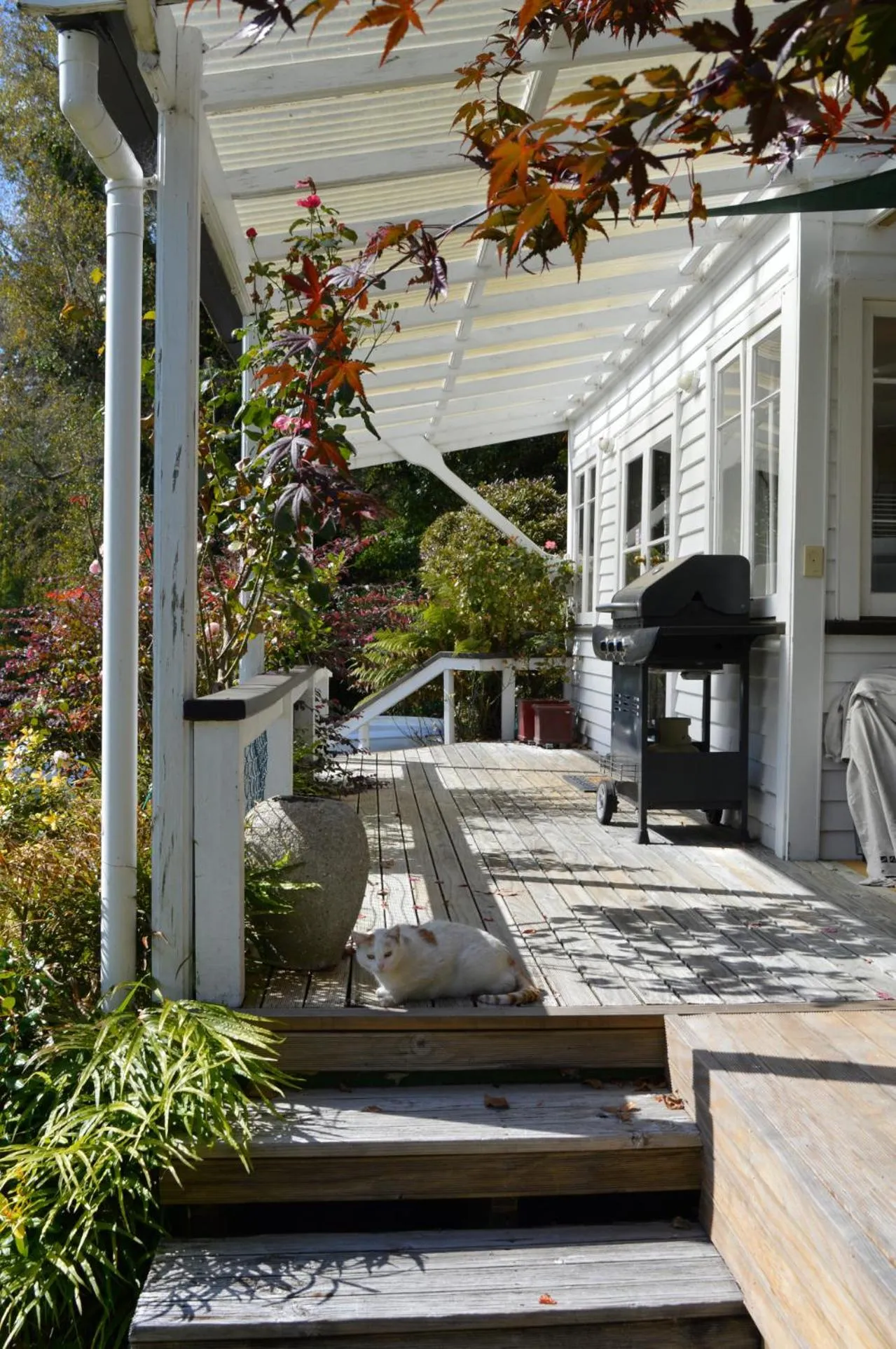 Property building in Magpie Cottage Homestay Bed & Breakfast