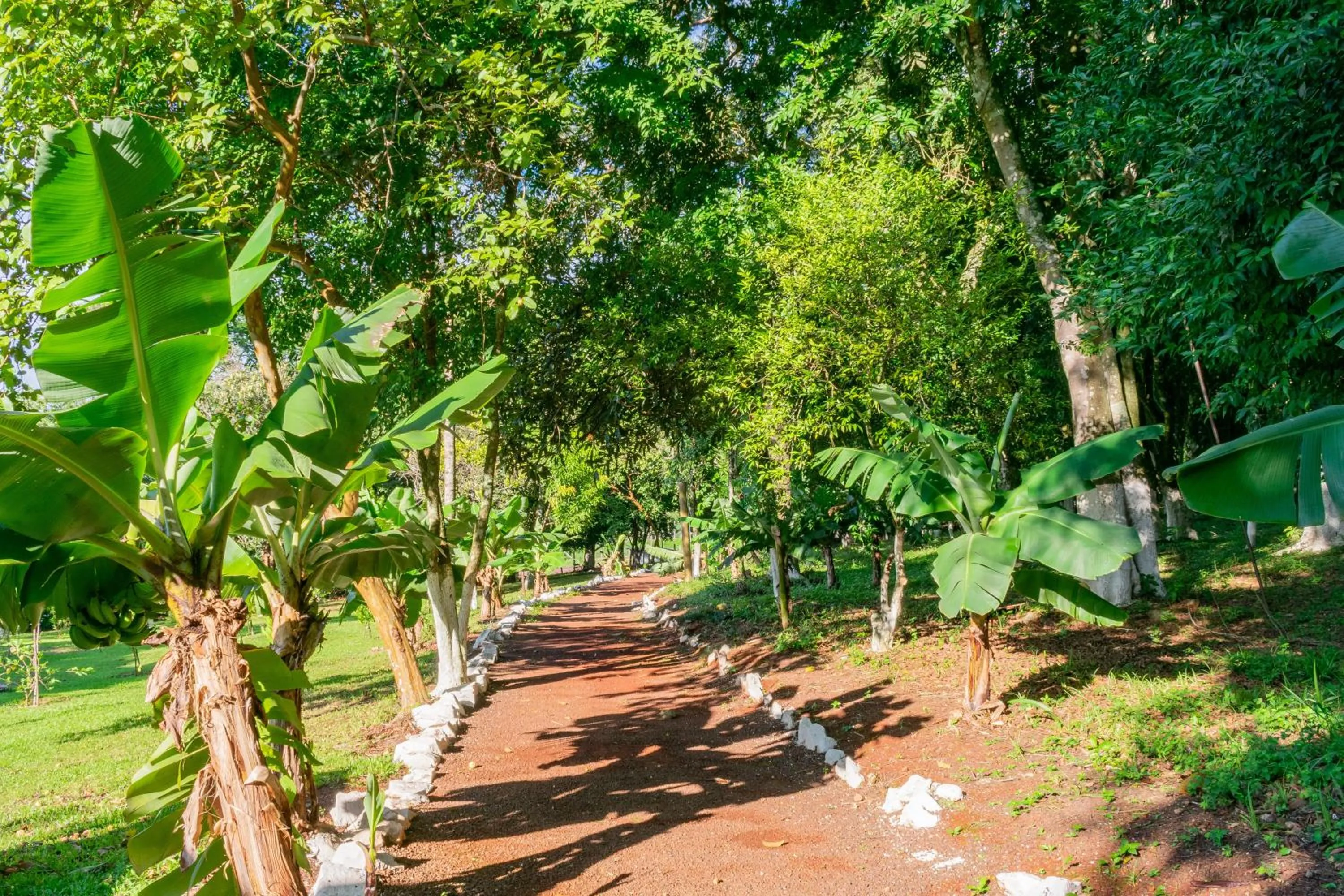 Hiking in Hotel Colonial Iguaçu