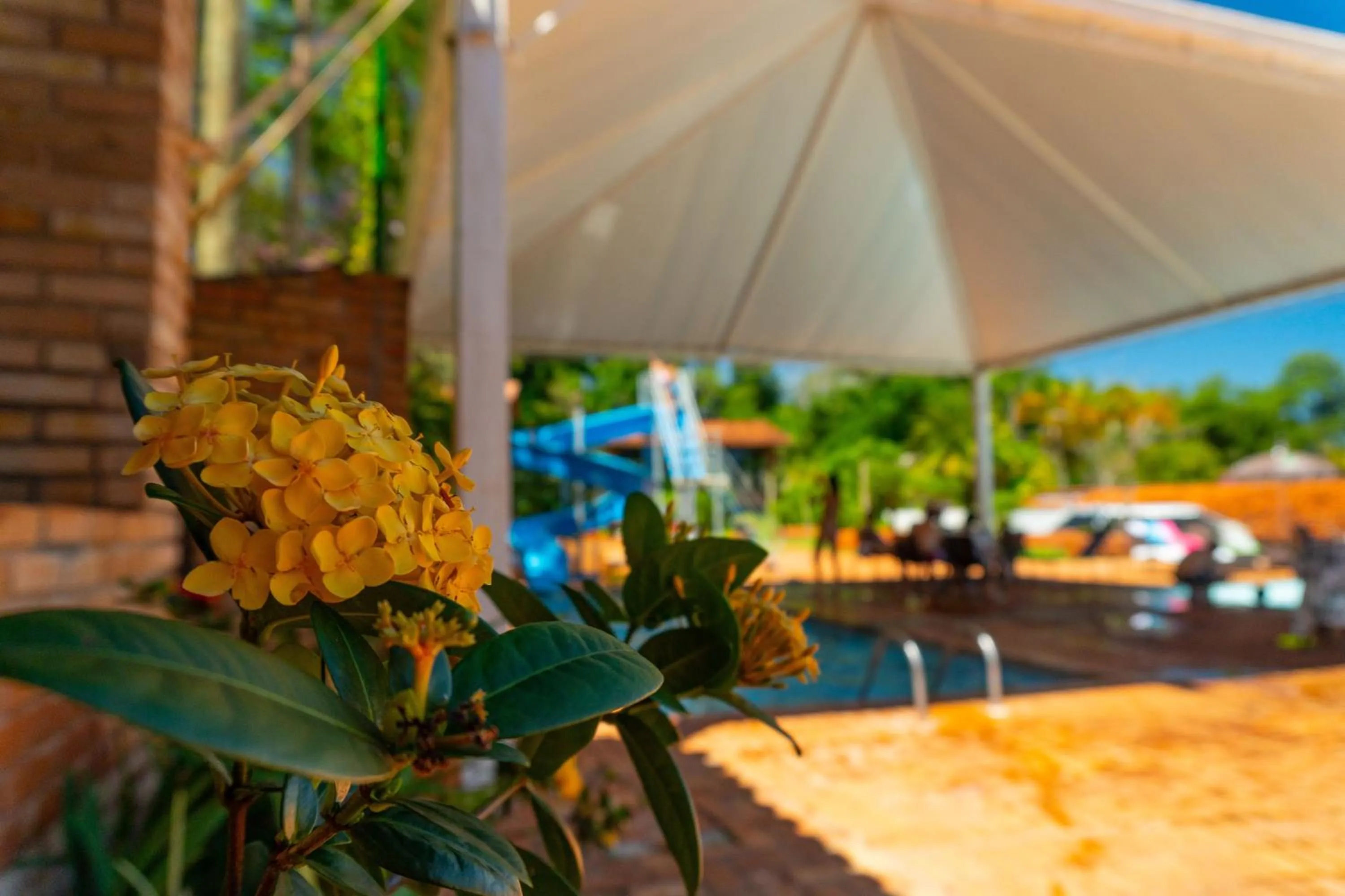 Swimming pool in Hotel Colonial Iguaçu