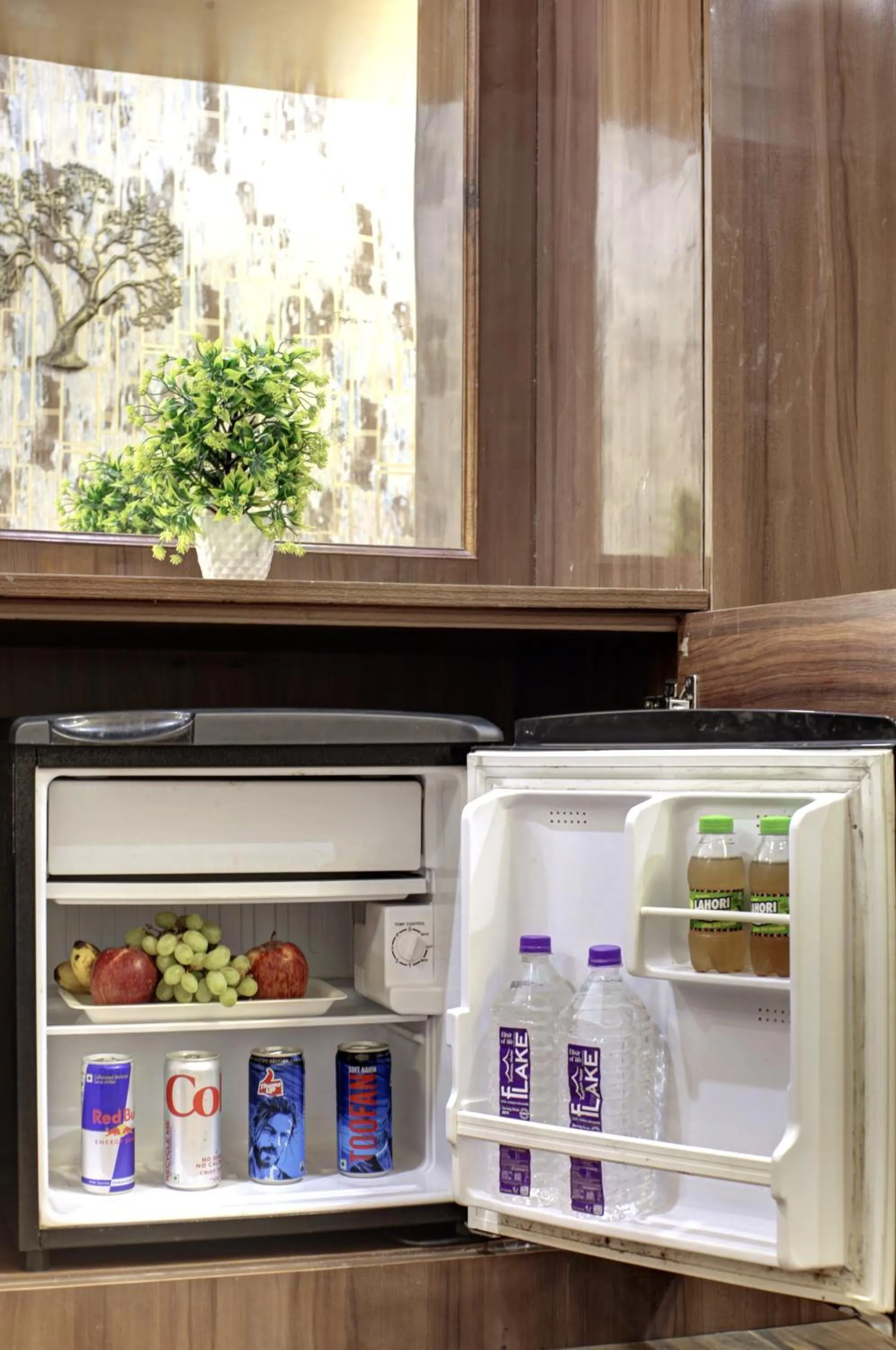 minibar in Hotel Grand Manor