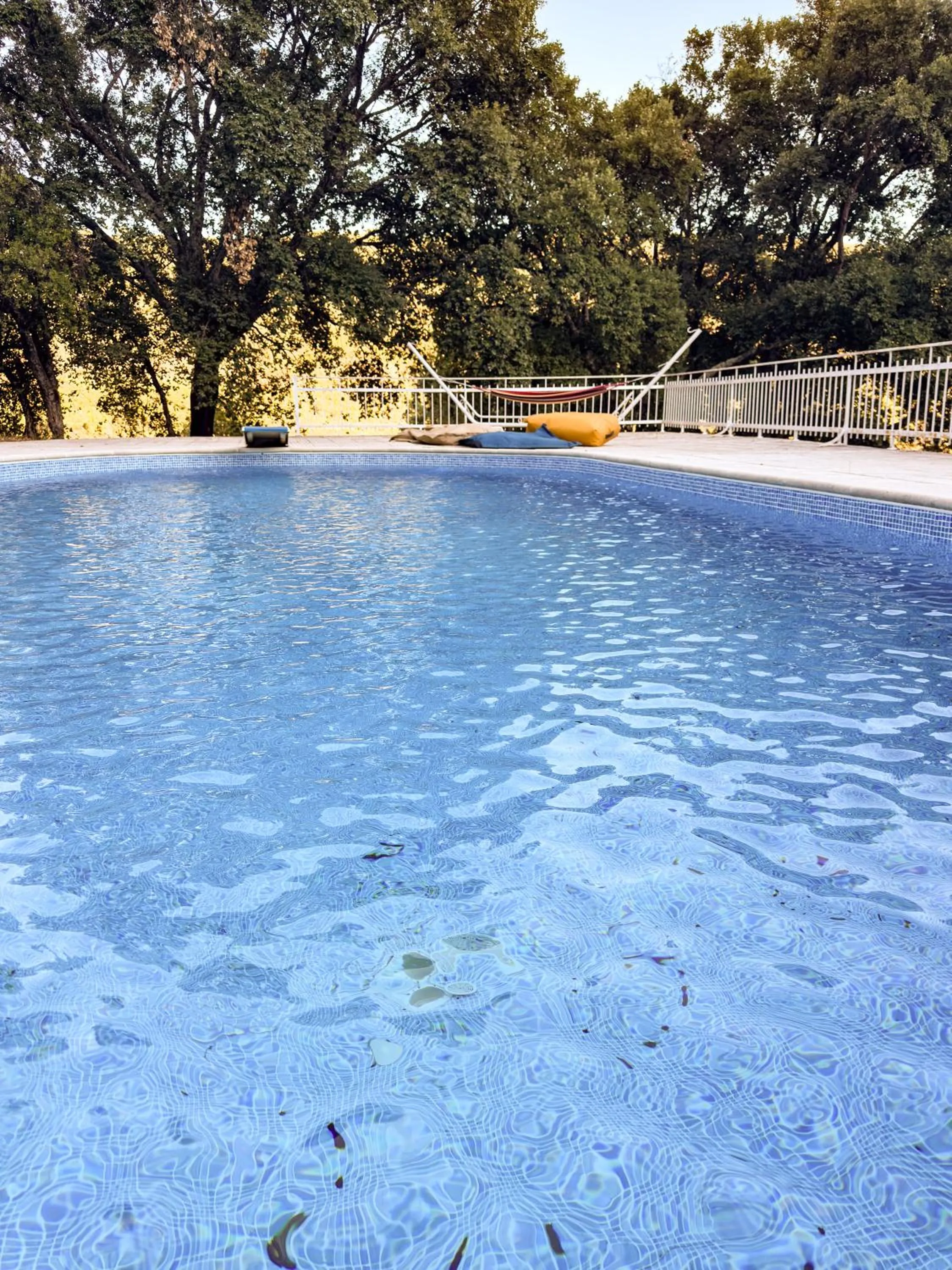 Swimming pool in Quinta dos Sinçais