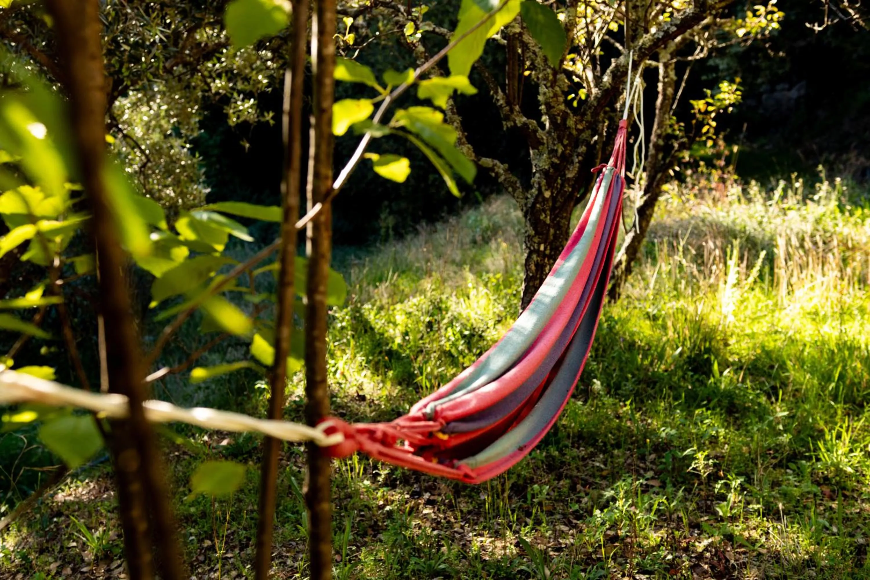 Garden in Quinta dos Sinçais