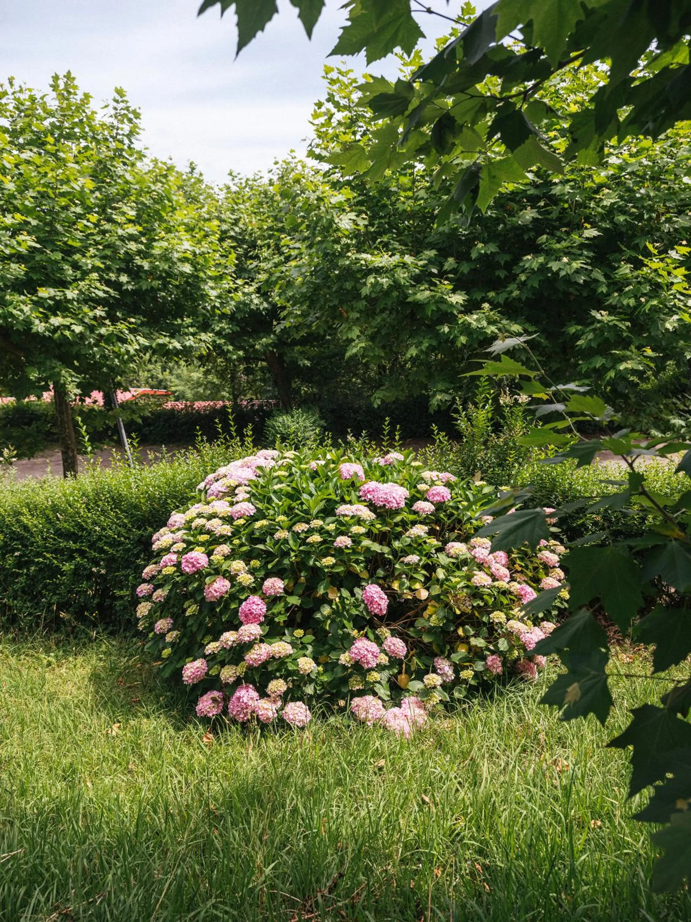 Garden in Wecamp San Sebastián