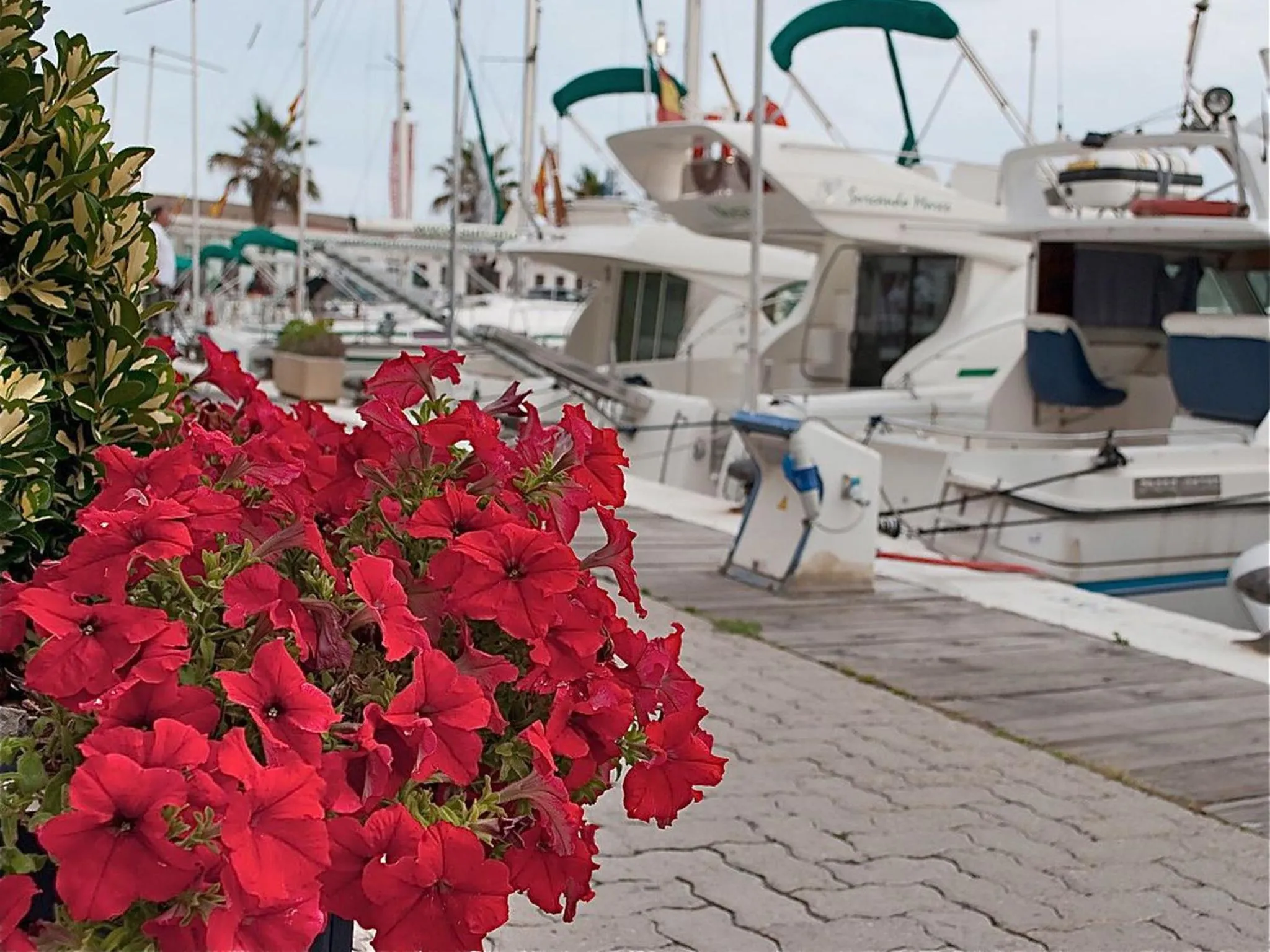 Area and facilities in Apartment Oscar