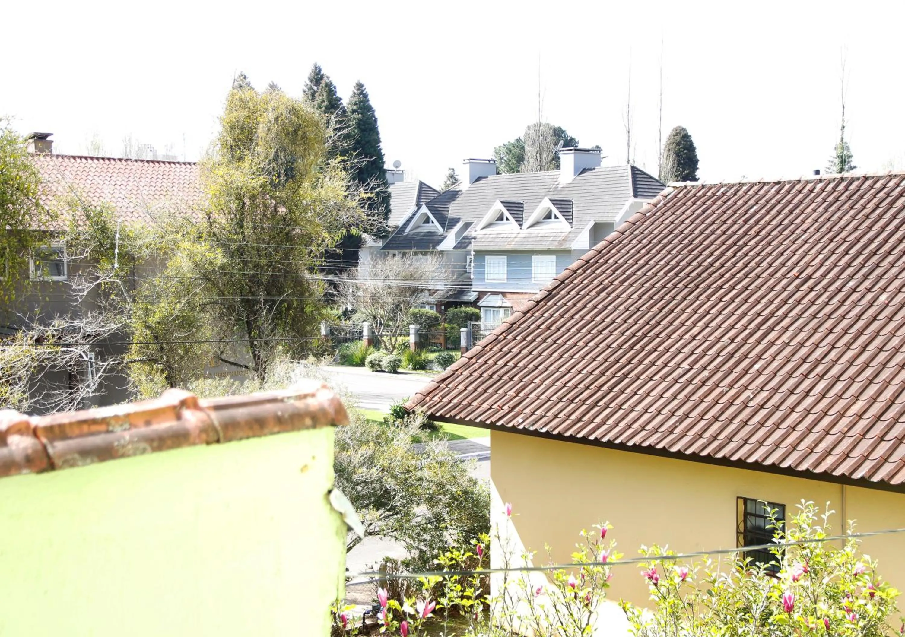 Garden view in Pousada Caminho dos Plátanos