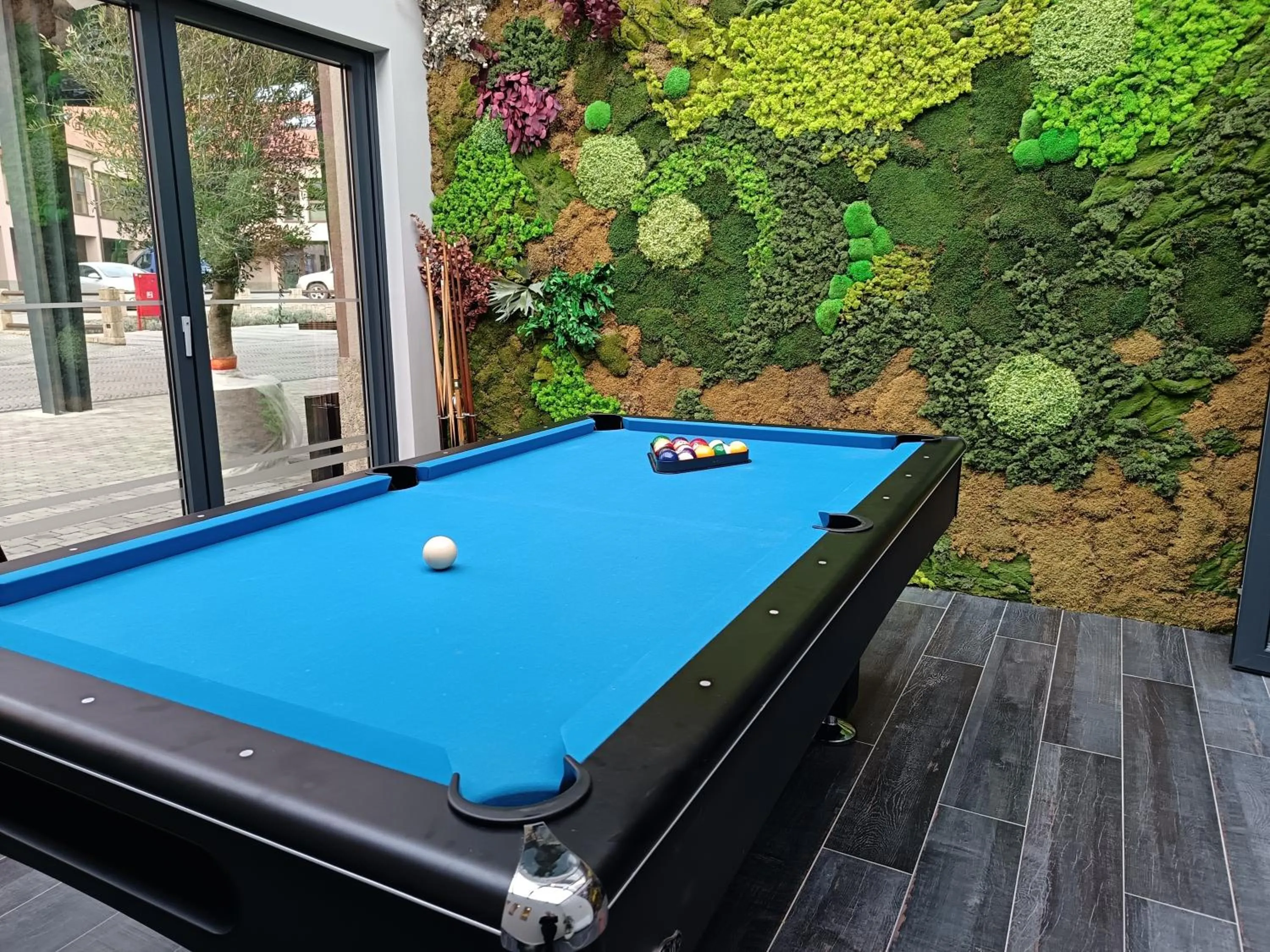 Entertainment in Hotel Bernarda