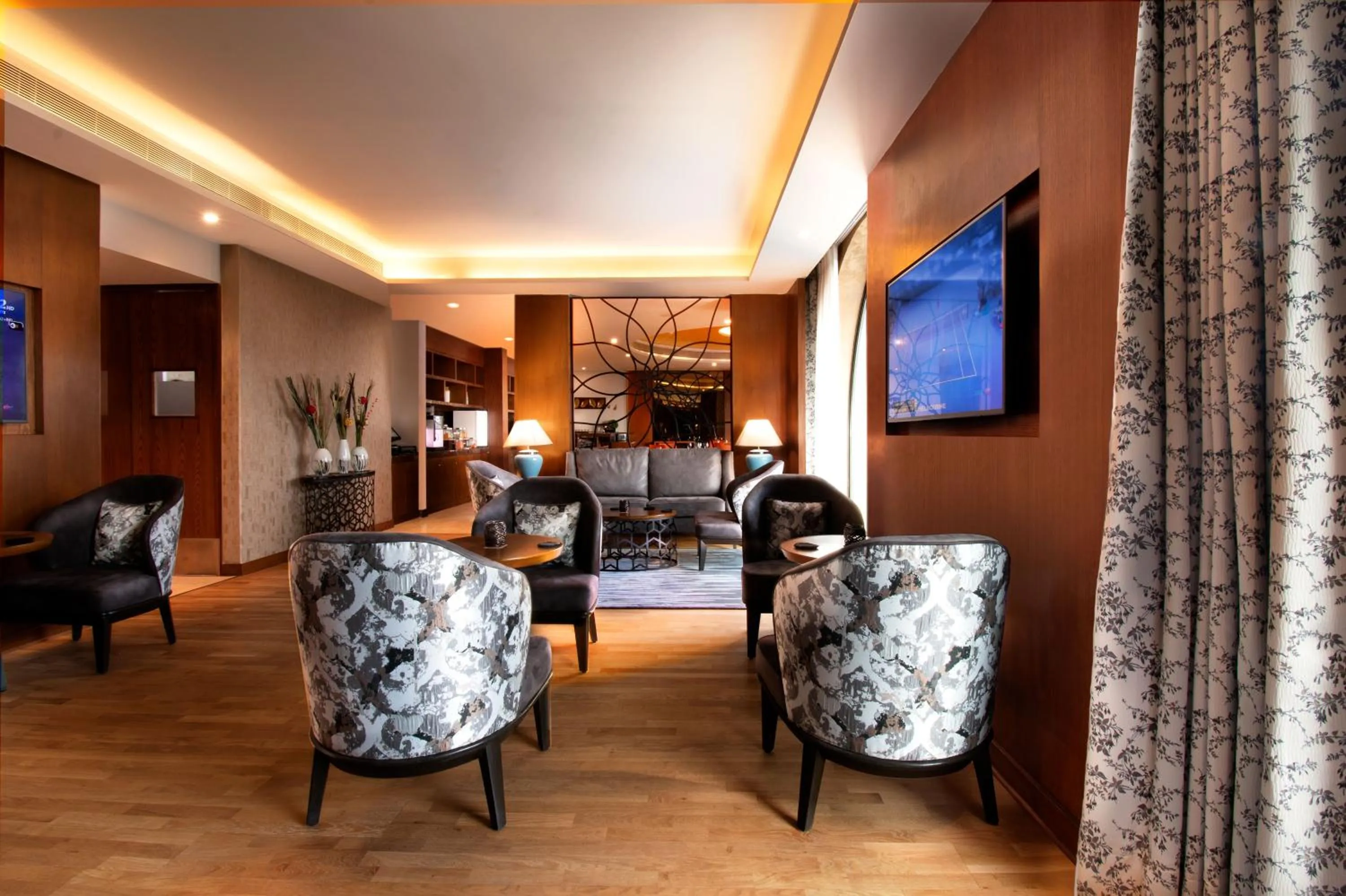 Communal lounge/ TV room in Radisson Blu Plaza Hotel Mysore