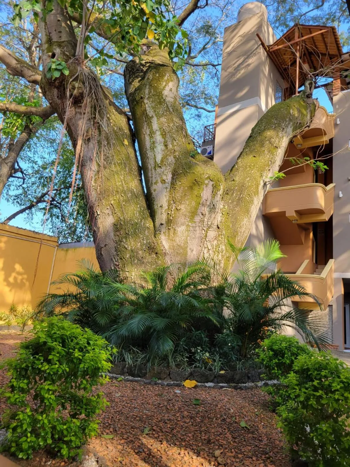 Property building in Real Guanacaste