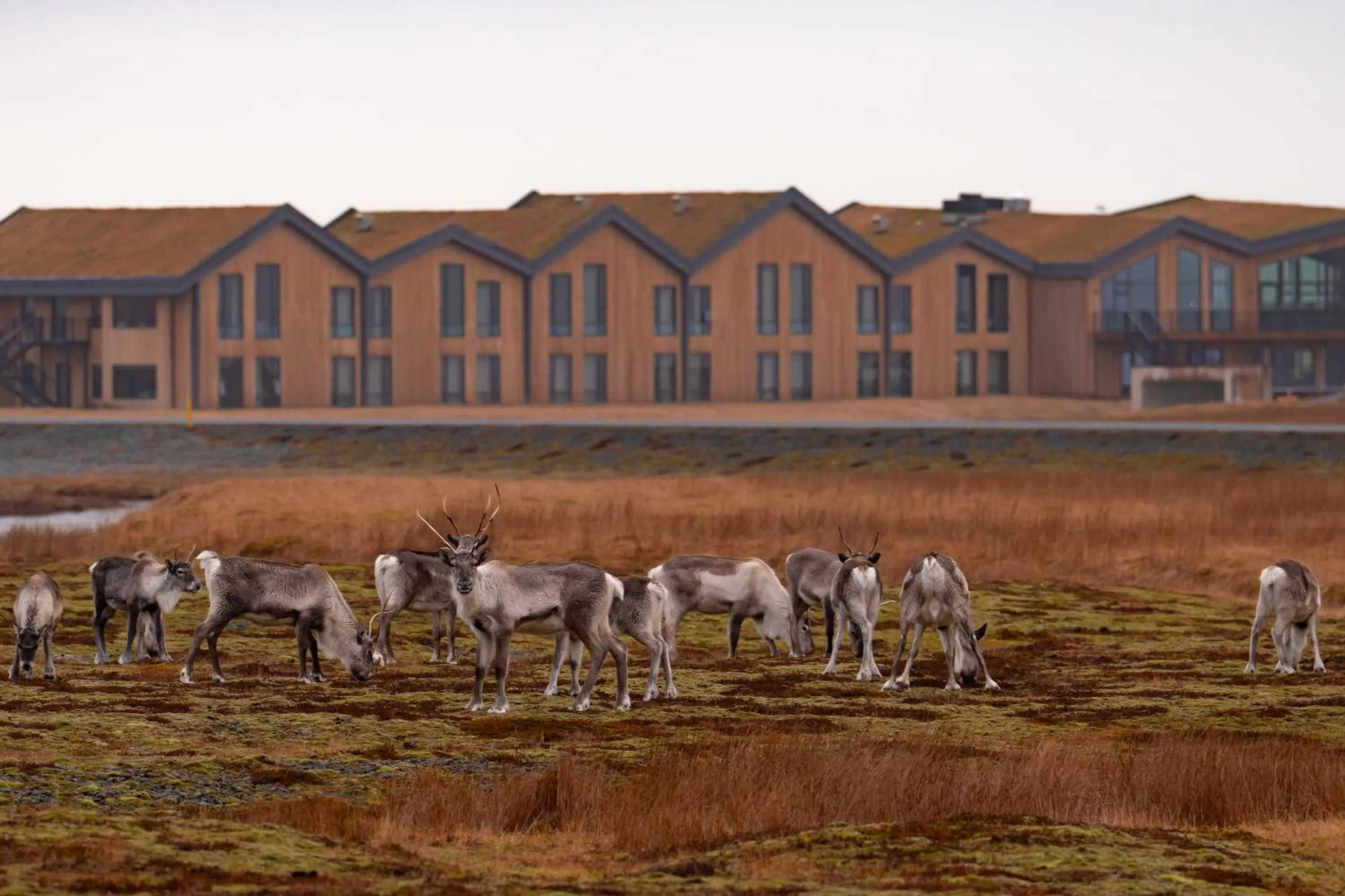 Property building in Hótel Jökulsárlón - Glacier Lagoon Hotel