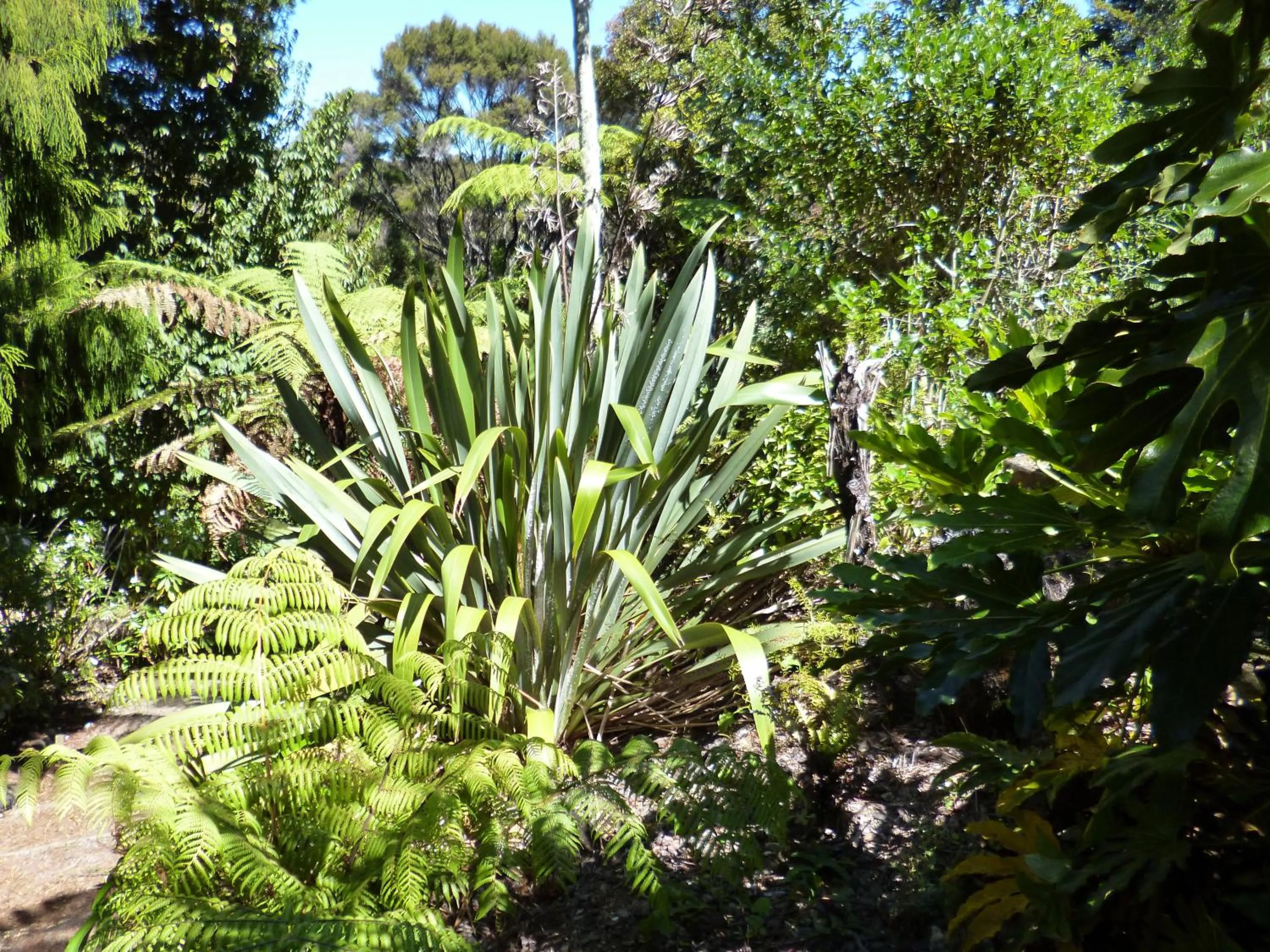 Garden in Opua Boutique Seaview Motel