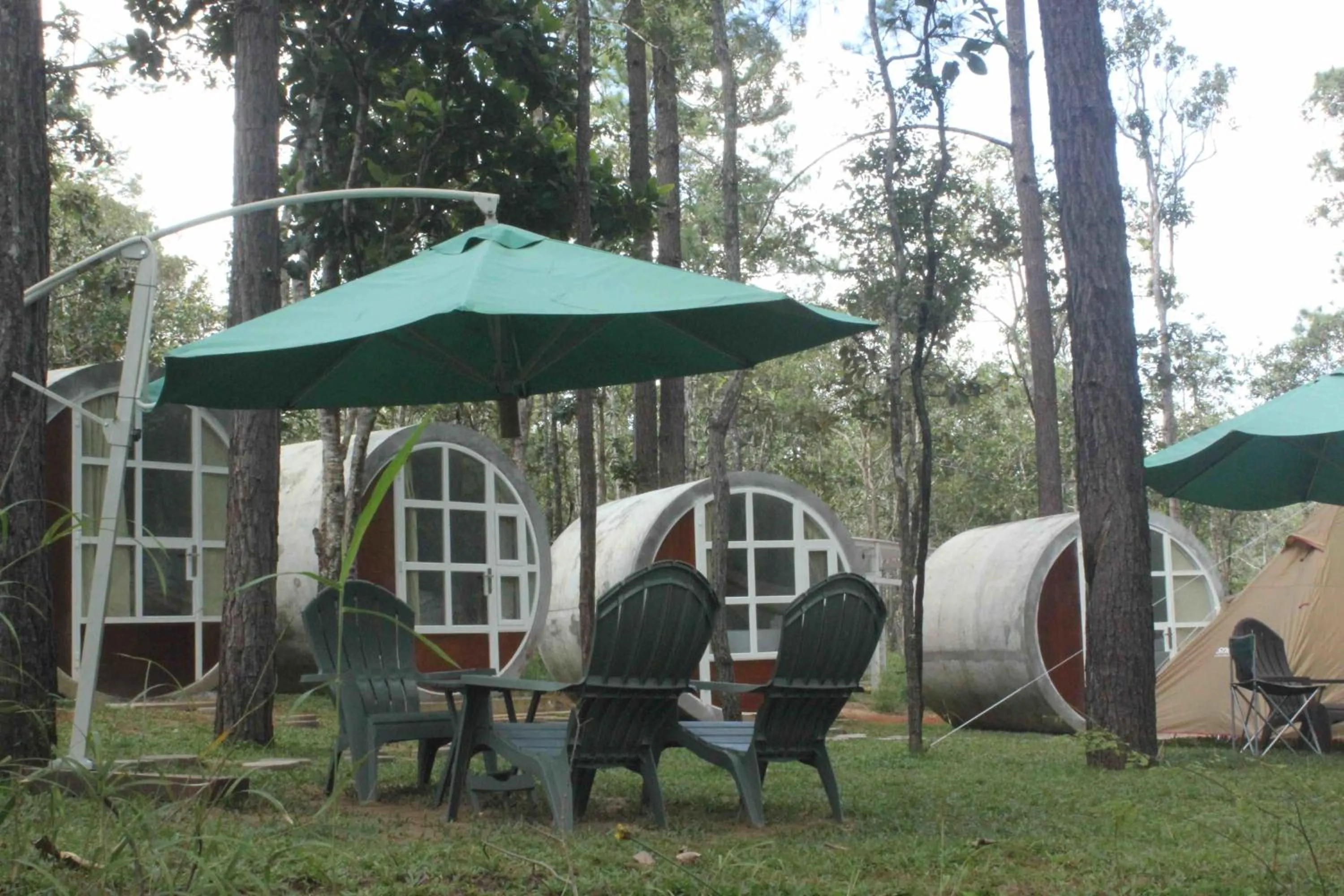 Garden in vKirirom Pine Resort