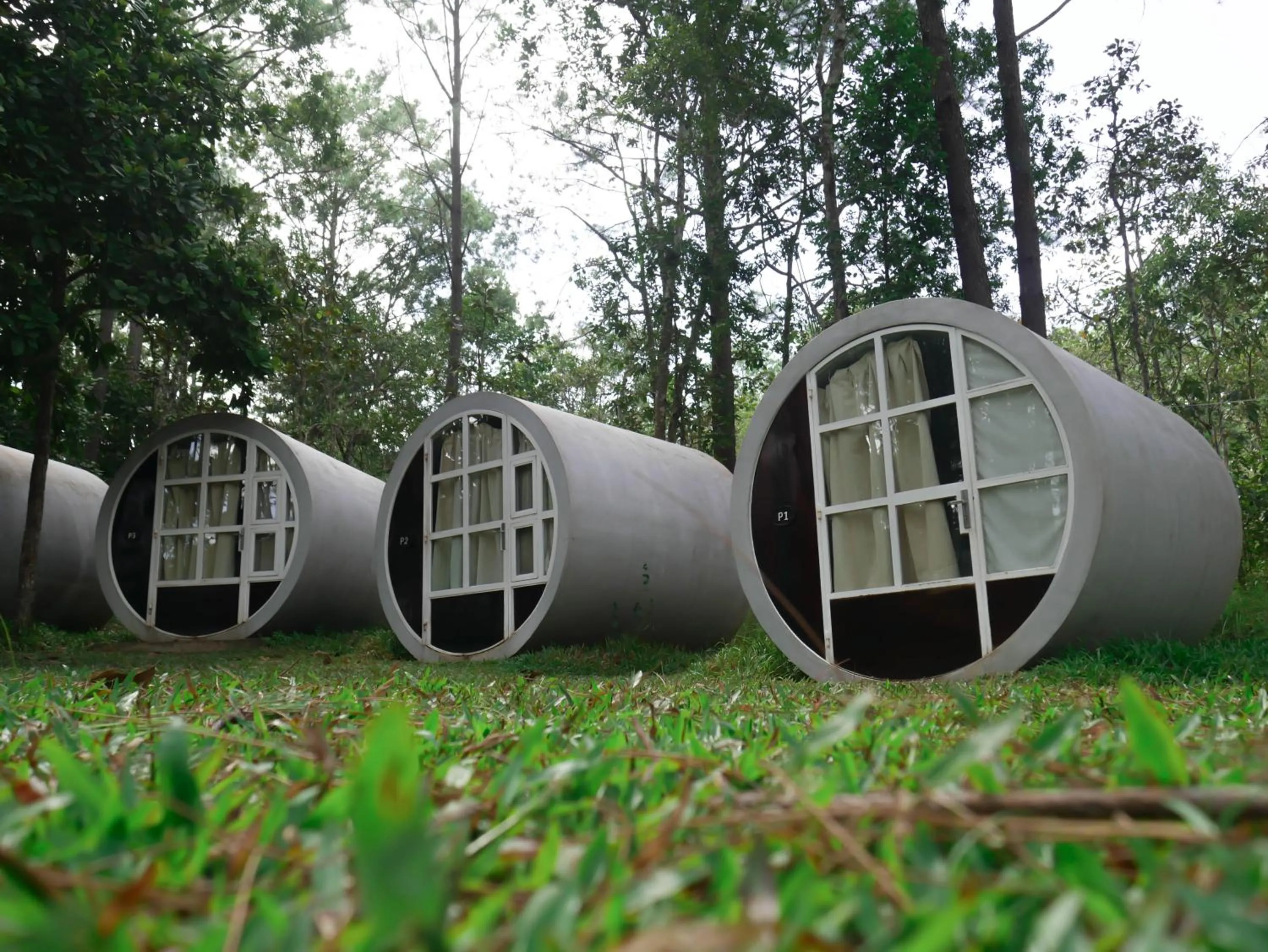 Property building in vKirirom Pine Resort