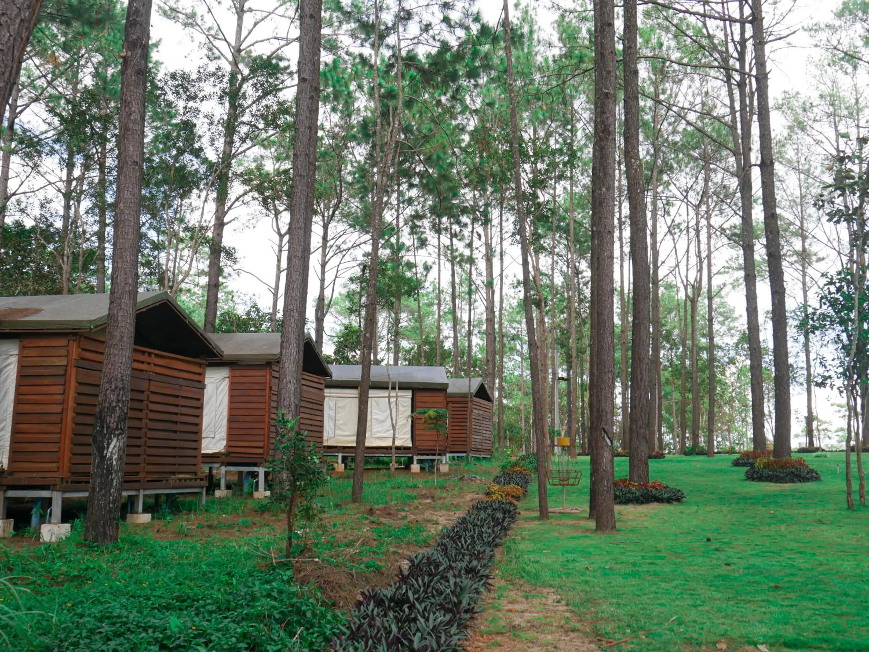 Property building in vKirirom Pine Resort